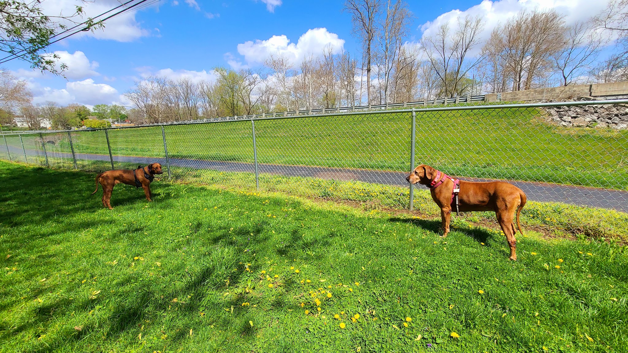 Lewisburg Dog Park by Royal Canin - Lewisburg, OH