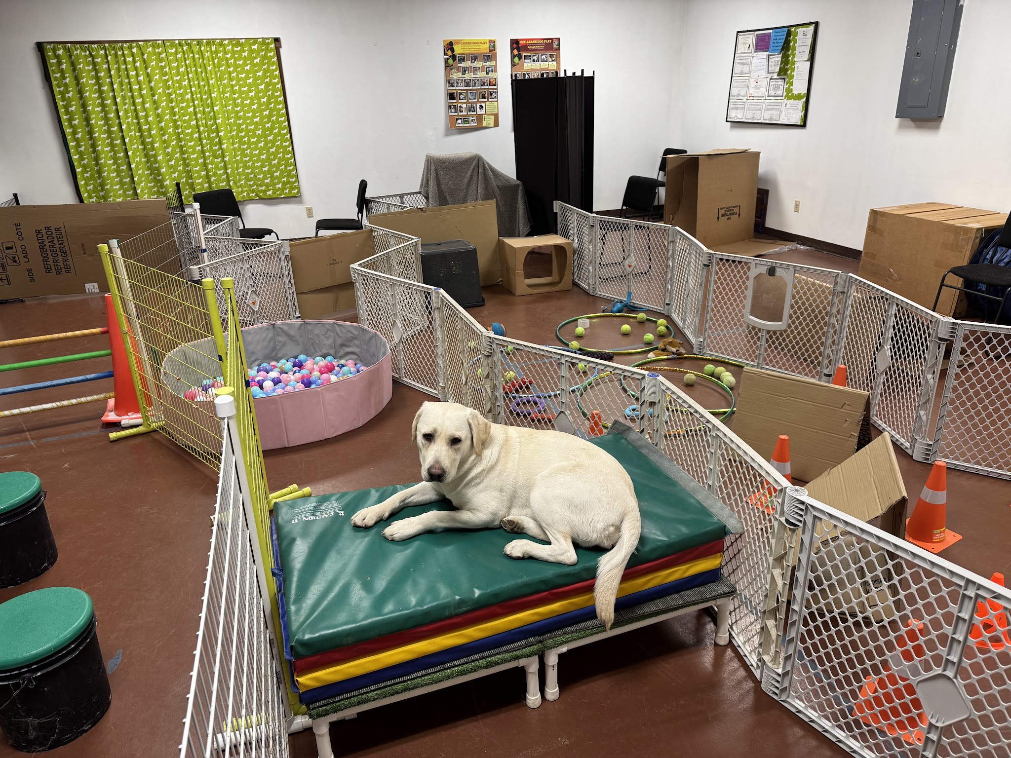 Brookpark Pet Supply - Lewisburg, PA