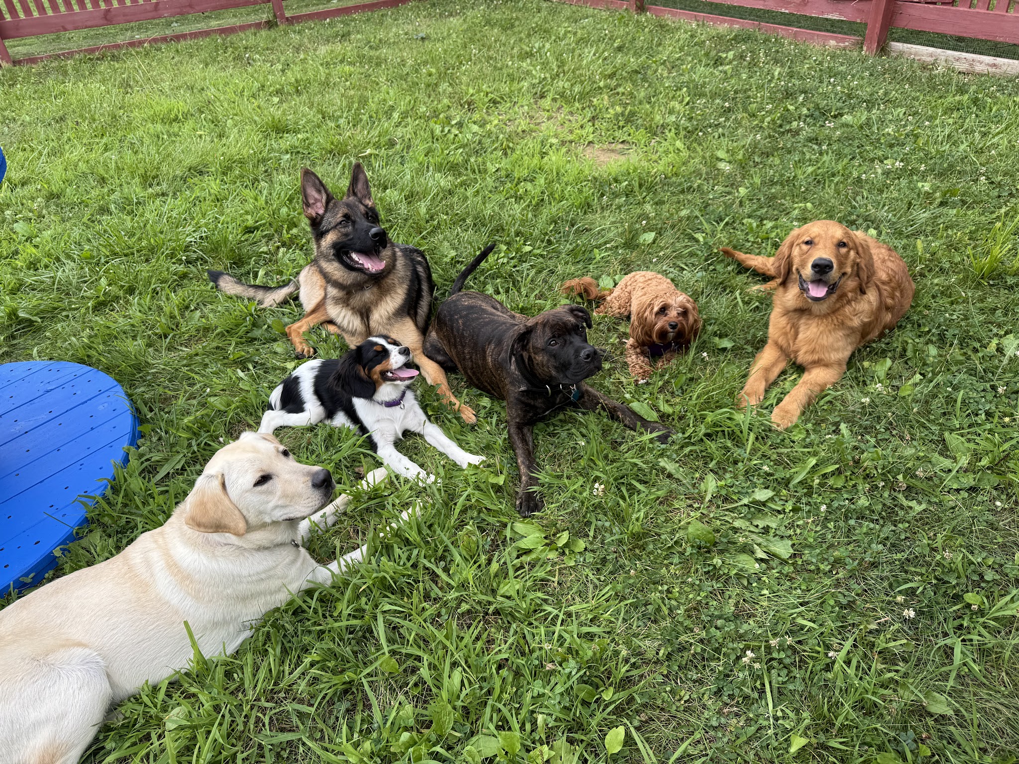 Brookpark Pet Supply - Lewisburg, PA