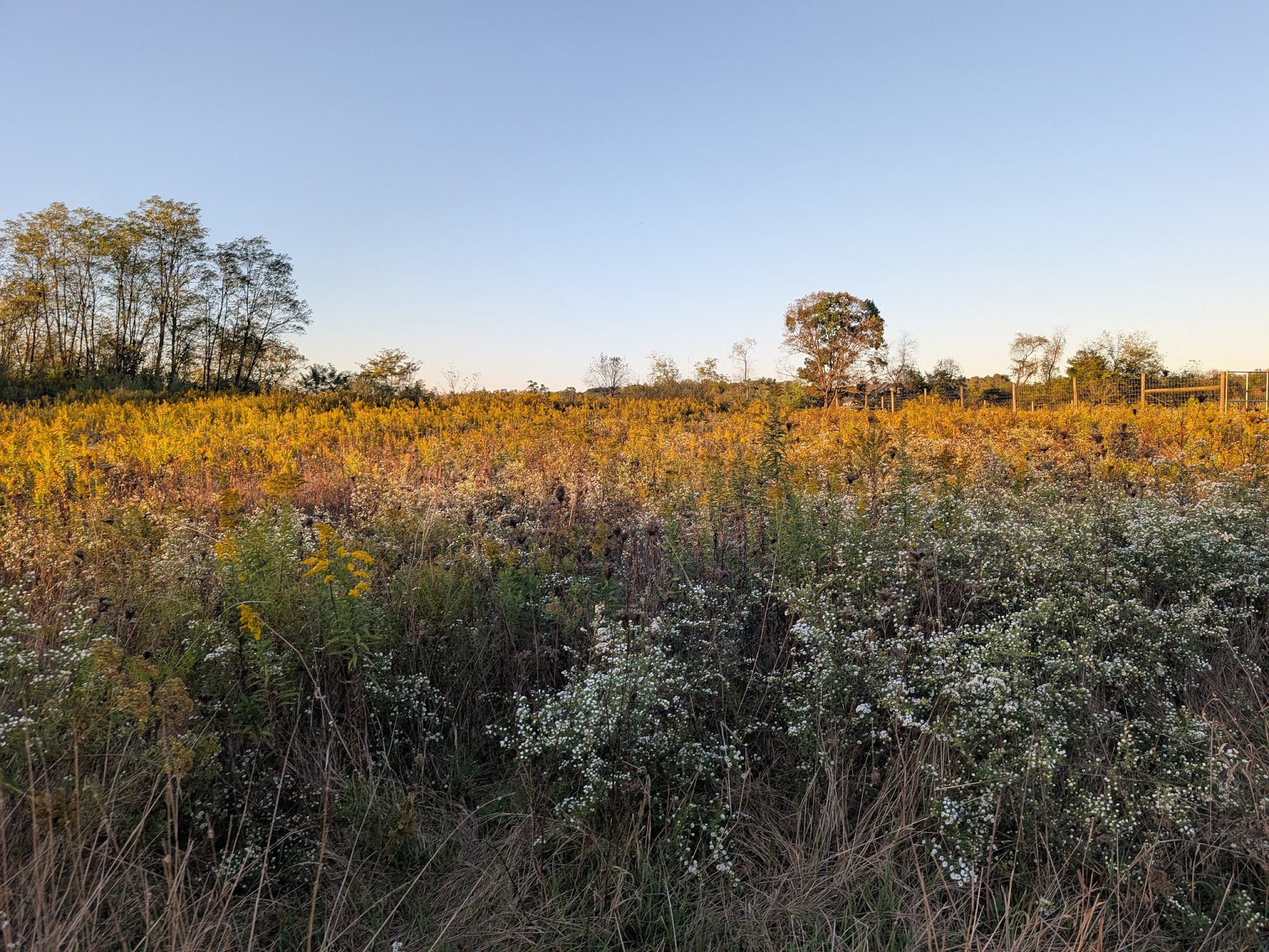 Turtle Creek Park - Lewisburg, PA