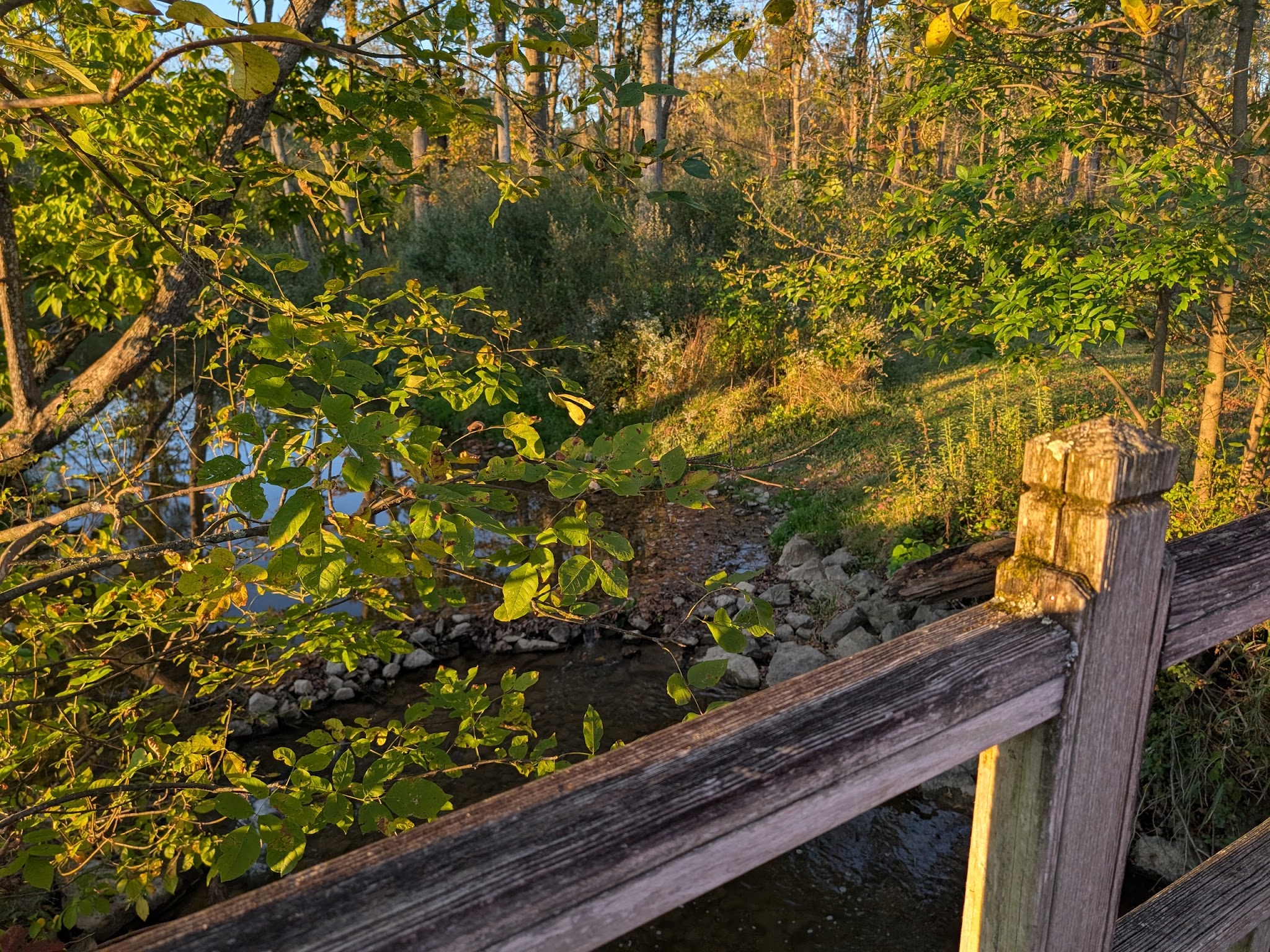 Turtle Creek Park - Lewisburg, PA