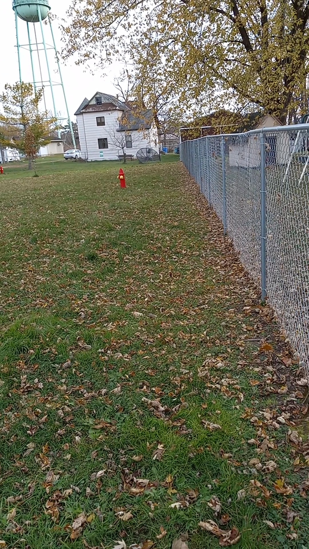 Lewiston Dog Park - Lewiston, MN