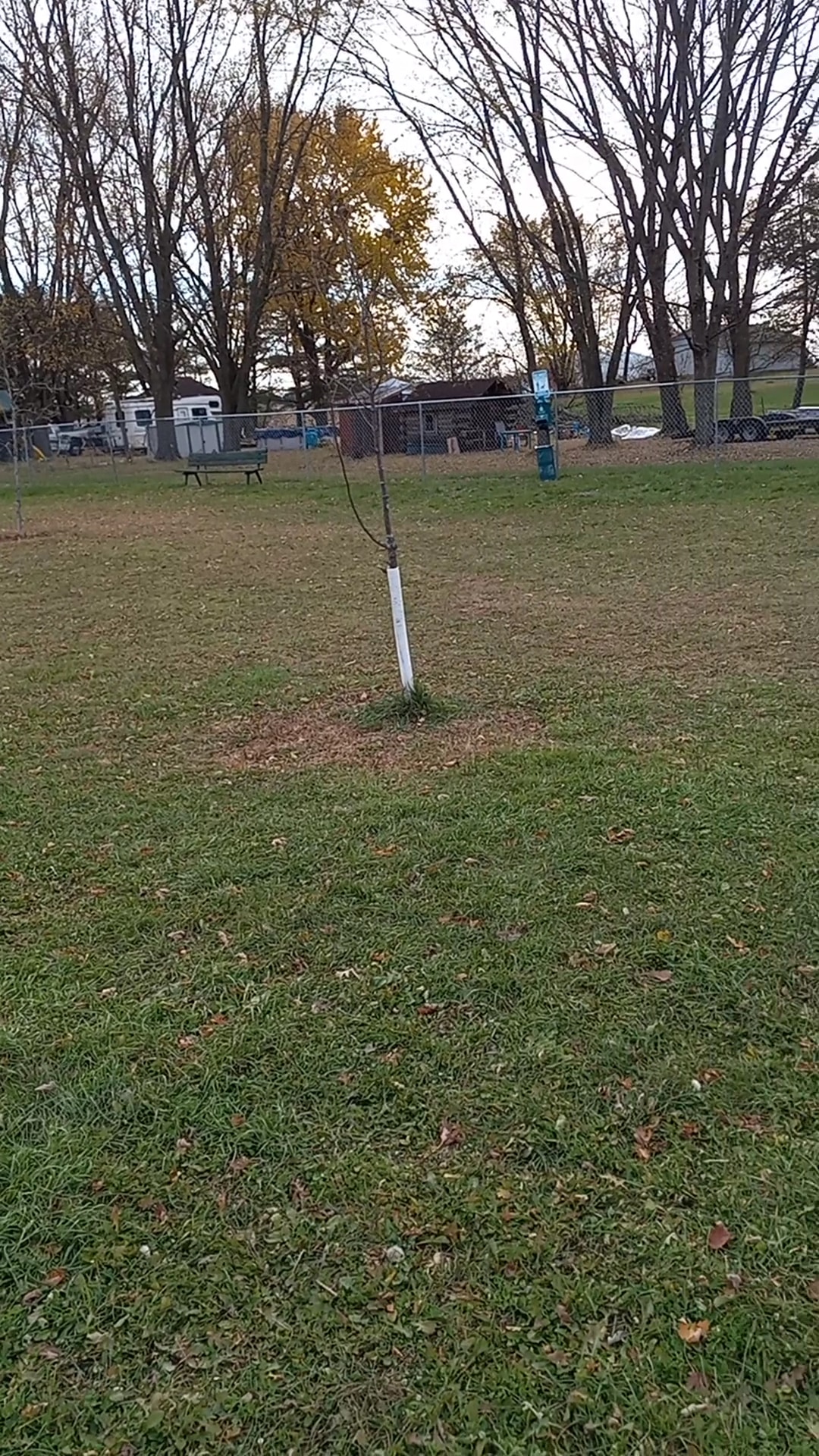 Lewiston Dog Park - Lewiston, MN