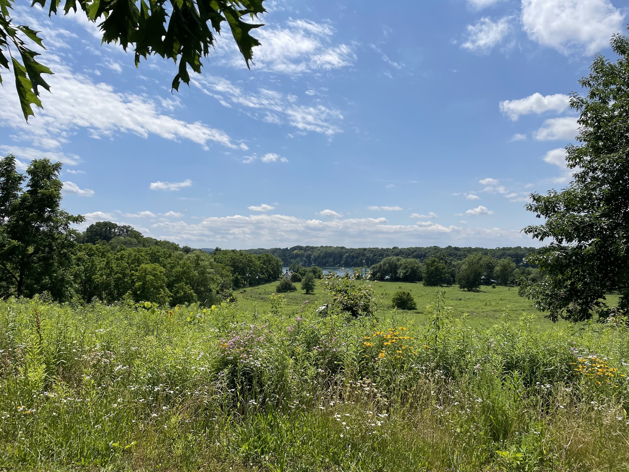 Stella Niagara Preserve - Lewiston, NY