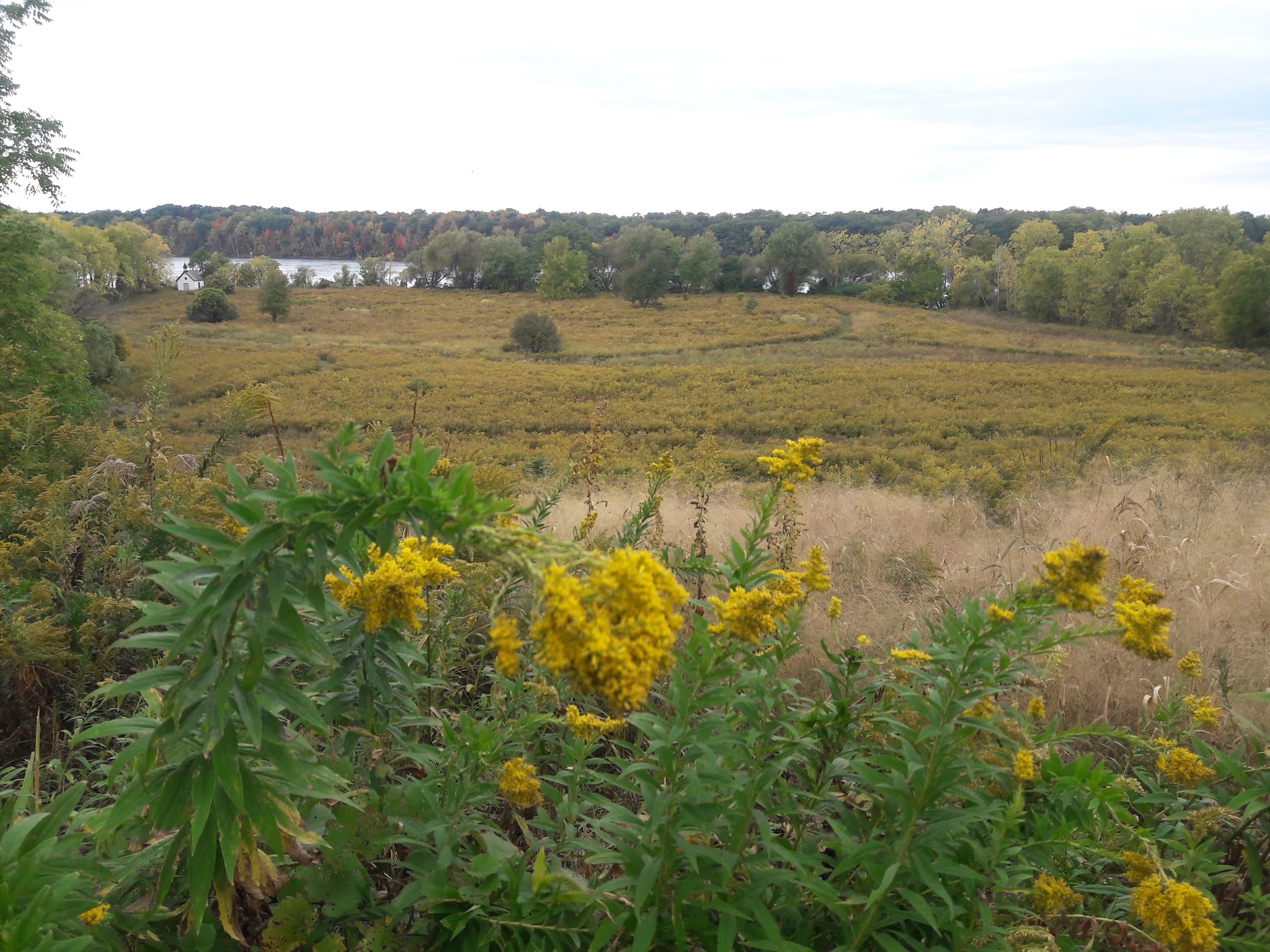 Stella Niagara Preserve - Lewiston, NY