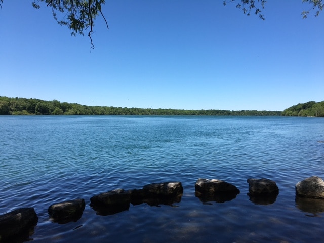 Stella Niagara Preserve - Lewiston, NY