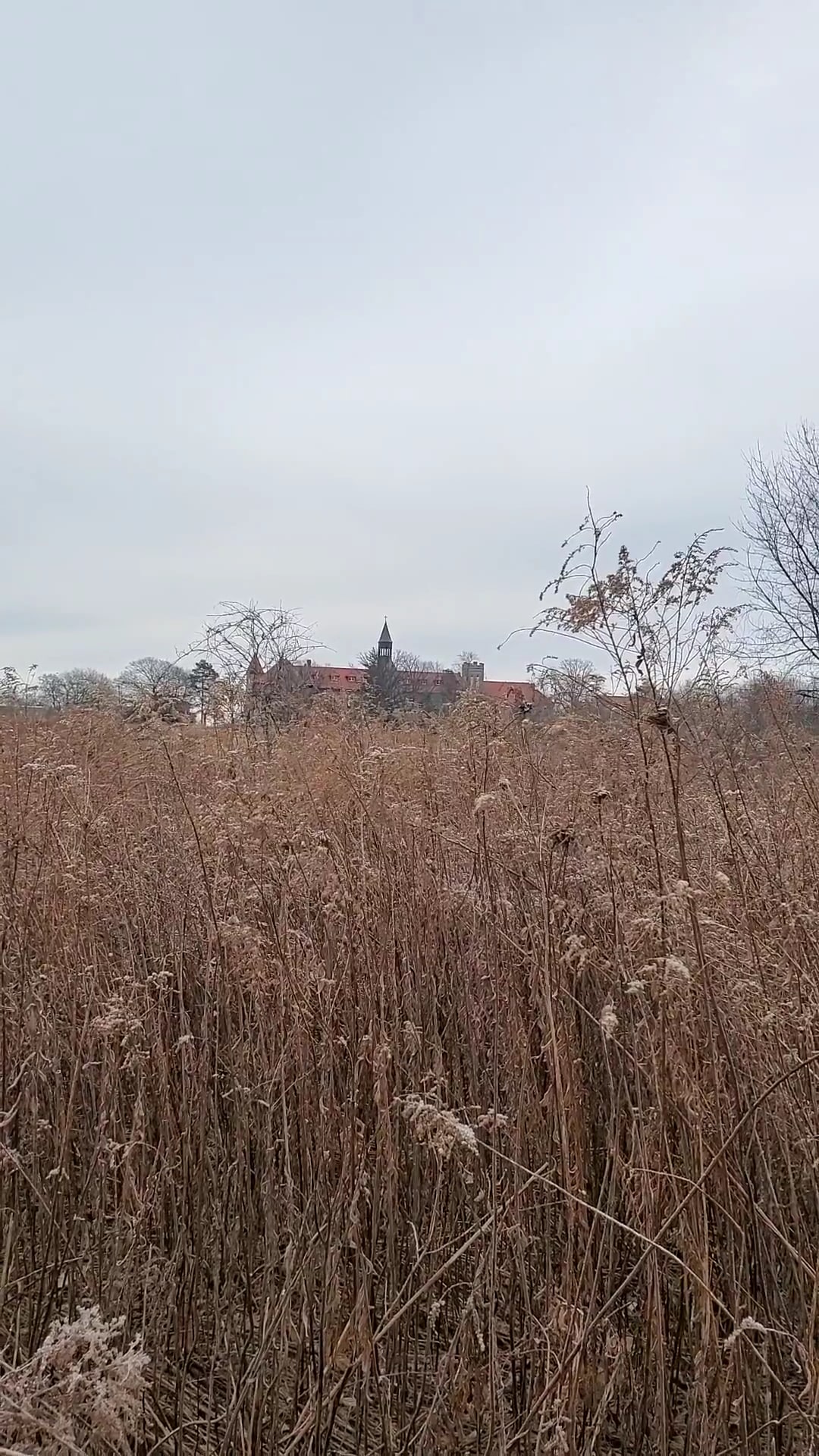 Stella Niagara Preserve - Lewiston, NY