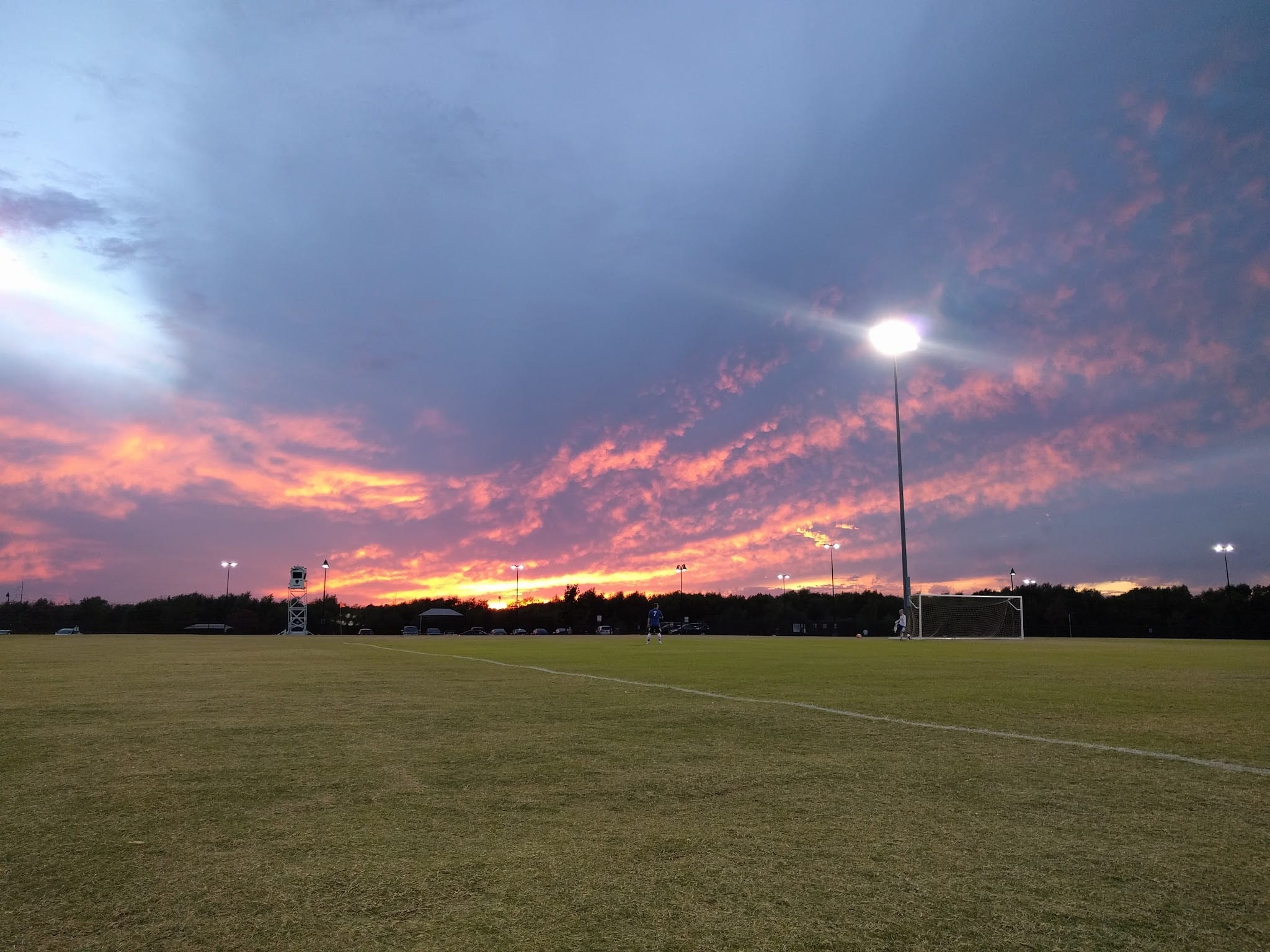 Dog Park - Lewisville, TX