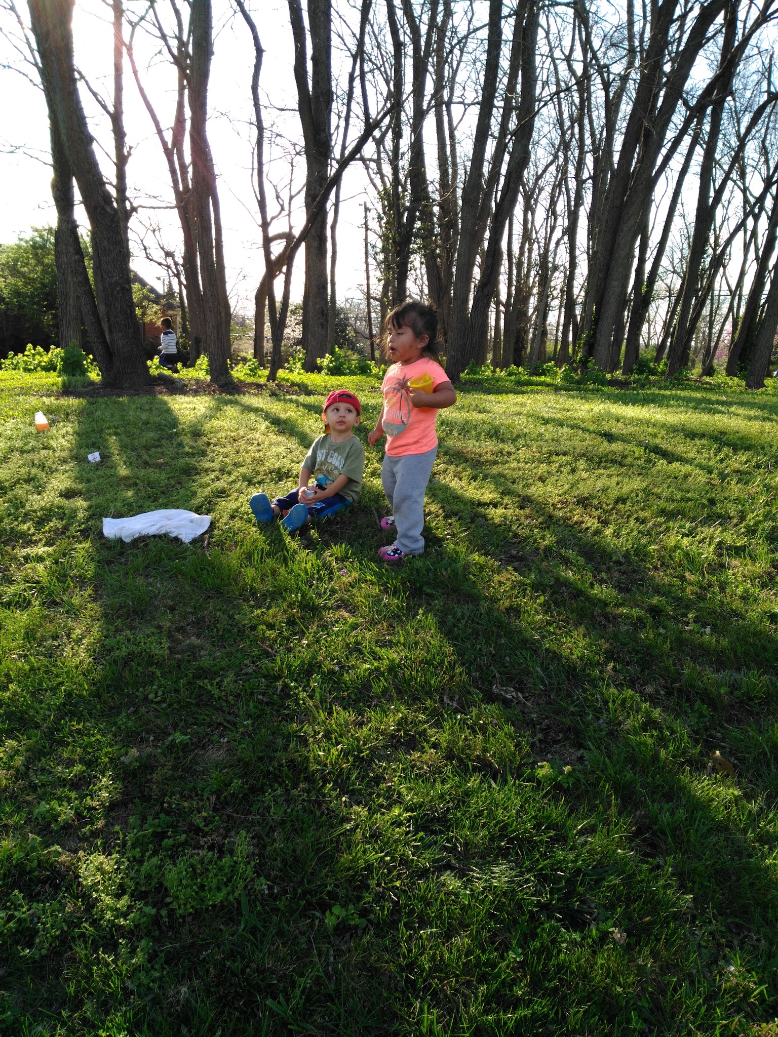 Constitution Park - Lexington, KY