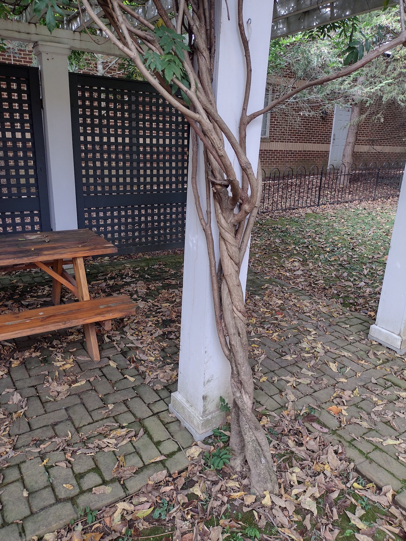 Hopkins Green - Lexington, VA