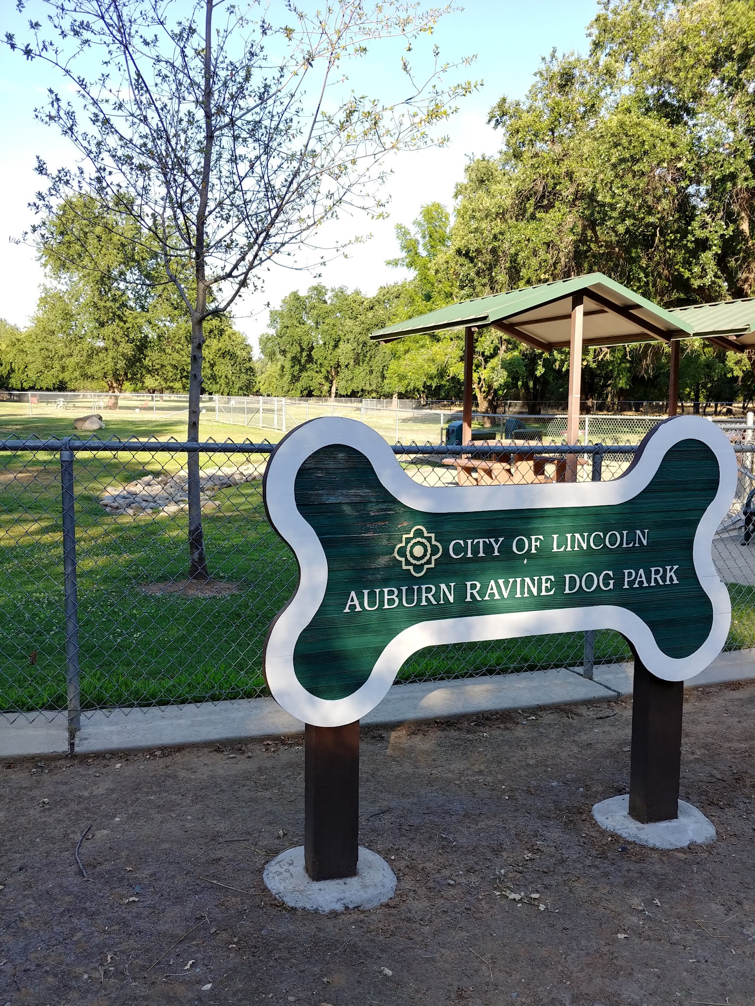 Auburn Ravine Dog Park - Lincoln, CA