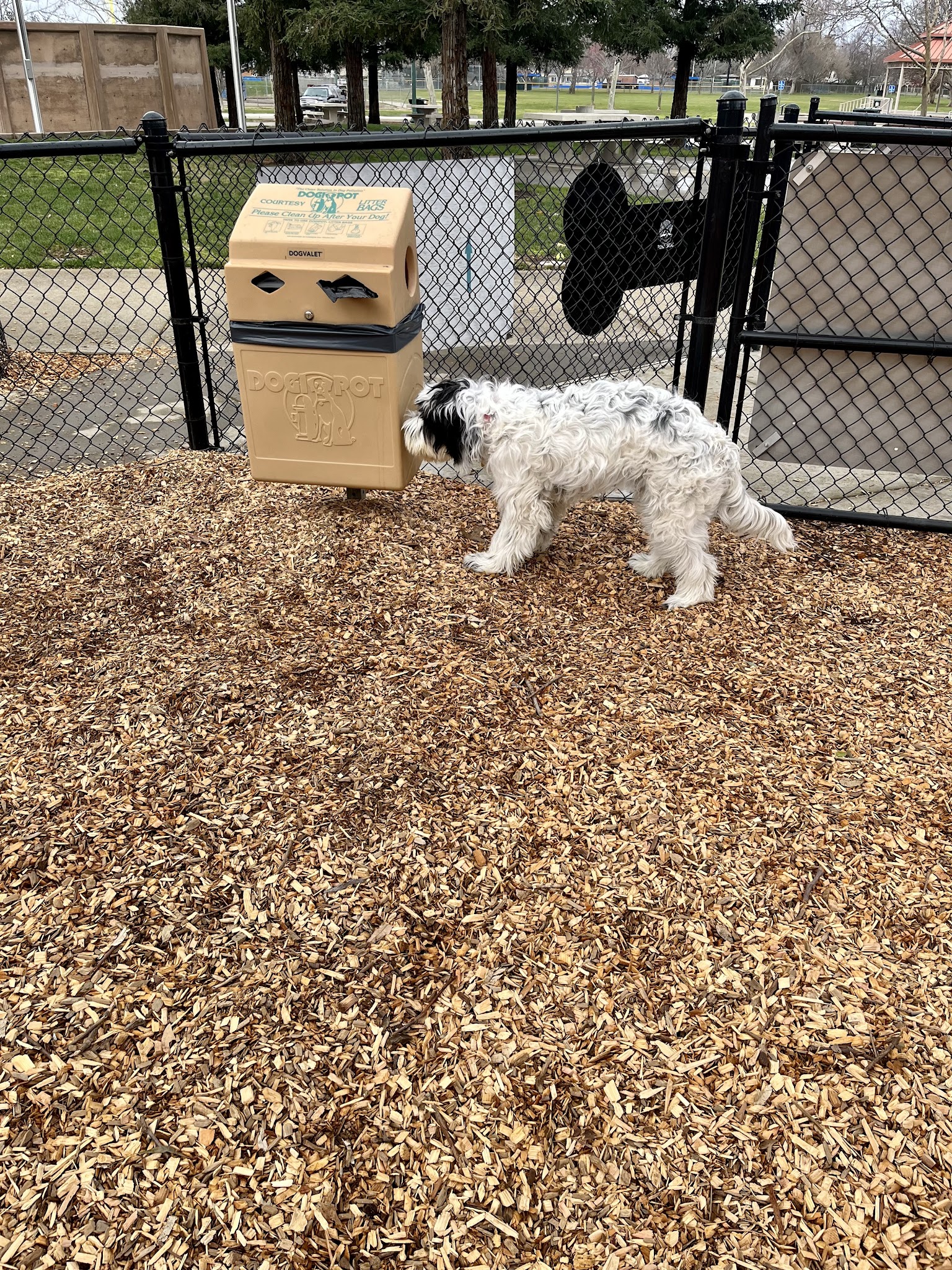 Lincoln Bark Park - Lincoln, CA
