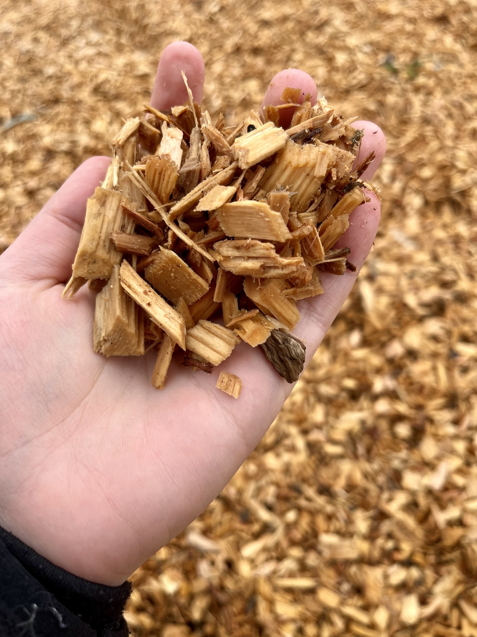 Lincoln Bark Park - Lincoln, CA