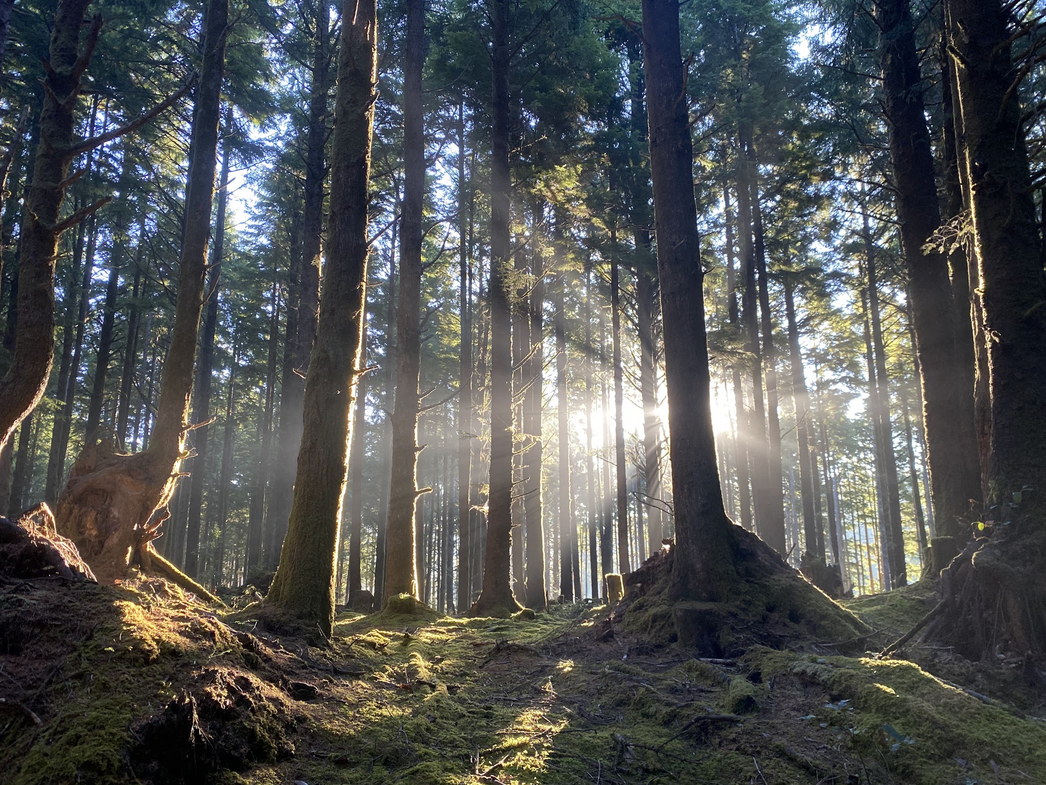 Agnes Creek Trailhead - Lincoln City, OR