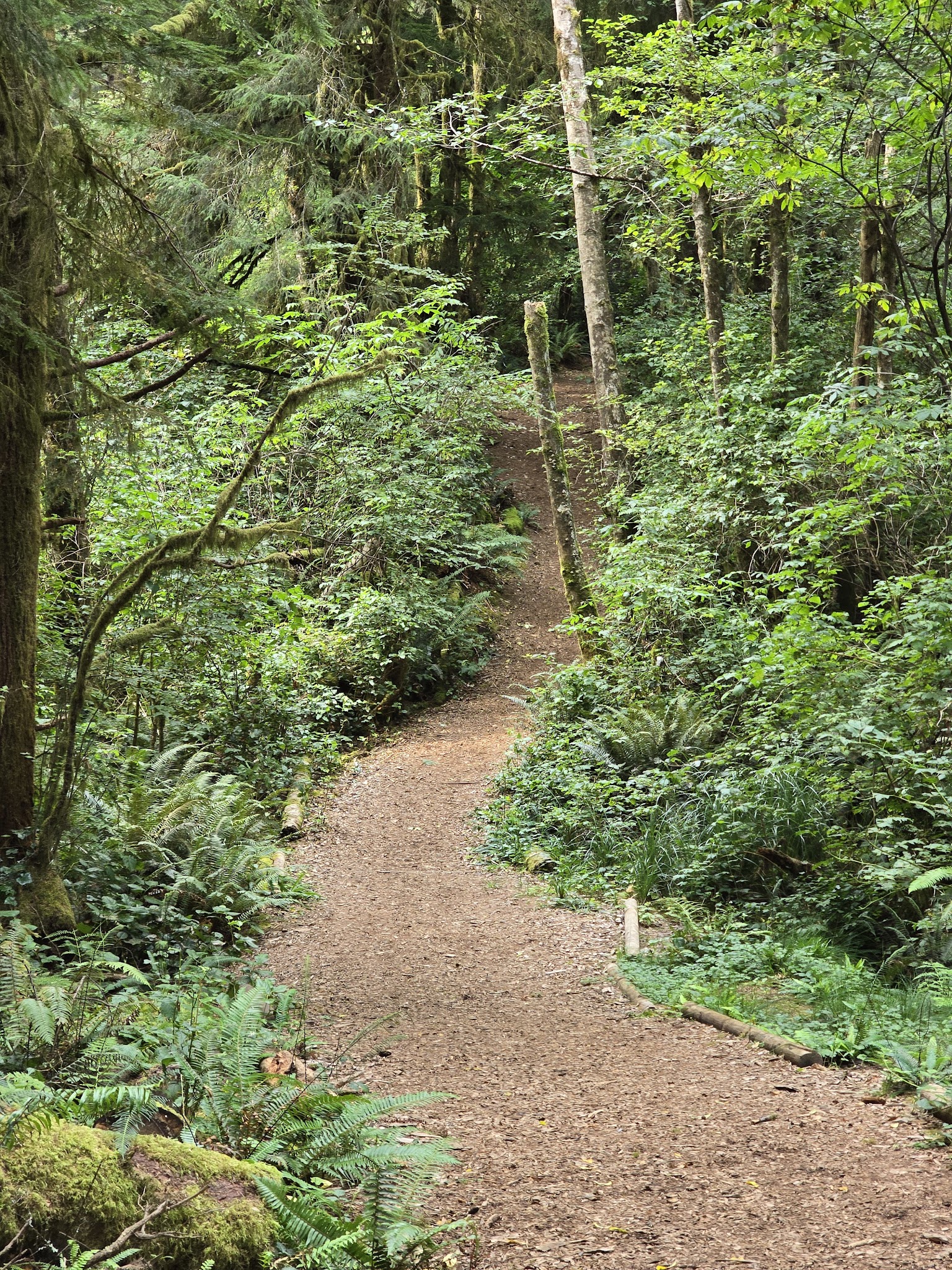 Friends of the Wildwood Open Space - Lincoln City, OR