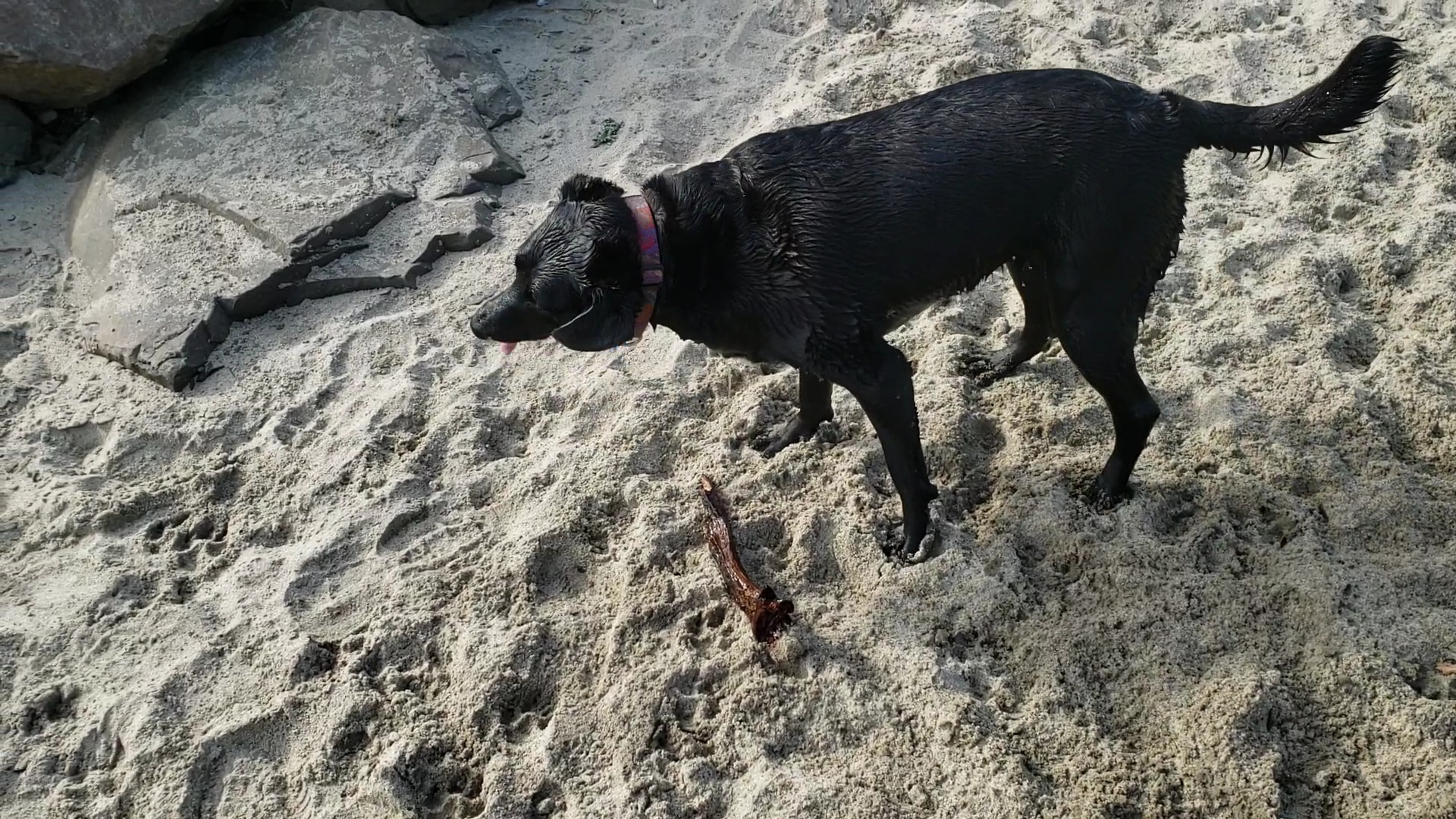 Siletz Bay Park - Lincoln City, OR