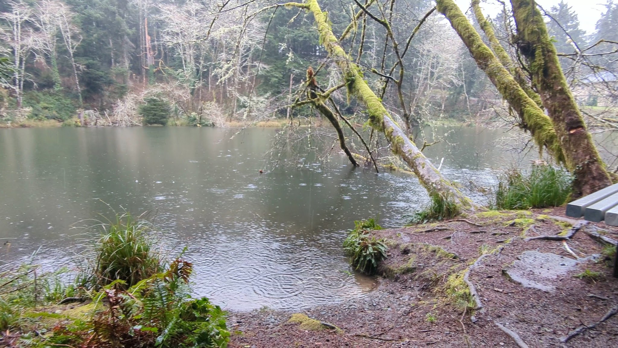 Spring Lake Open Space - Lincoln City, OR