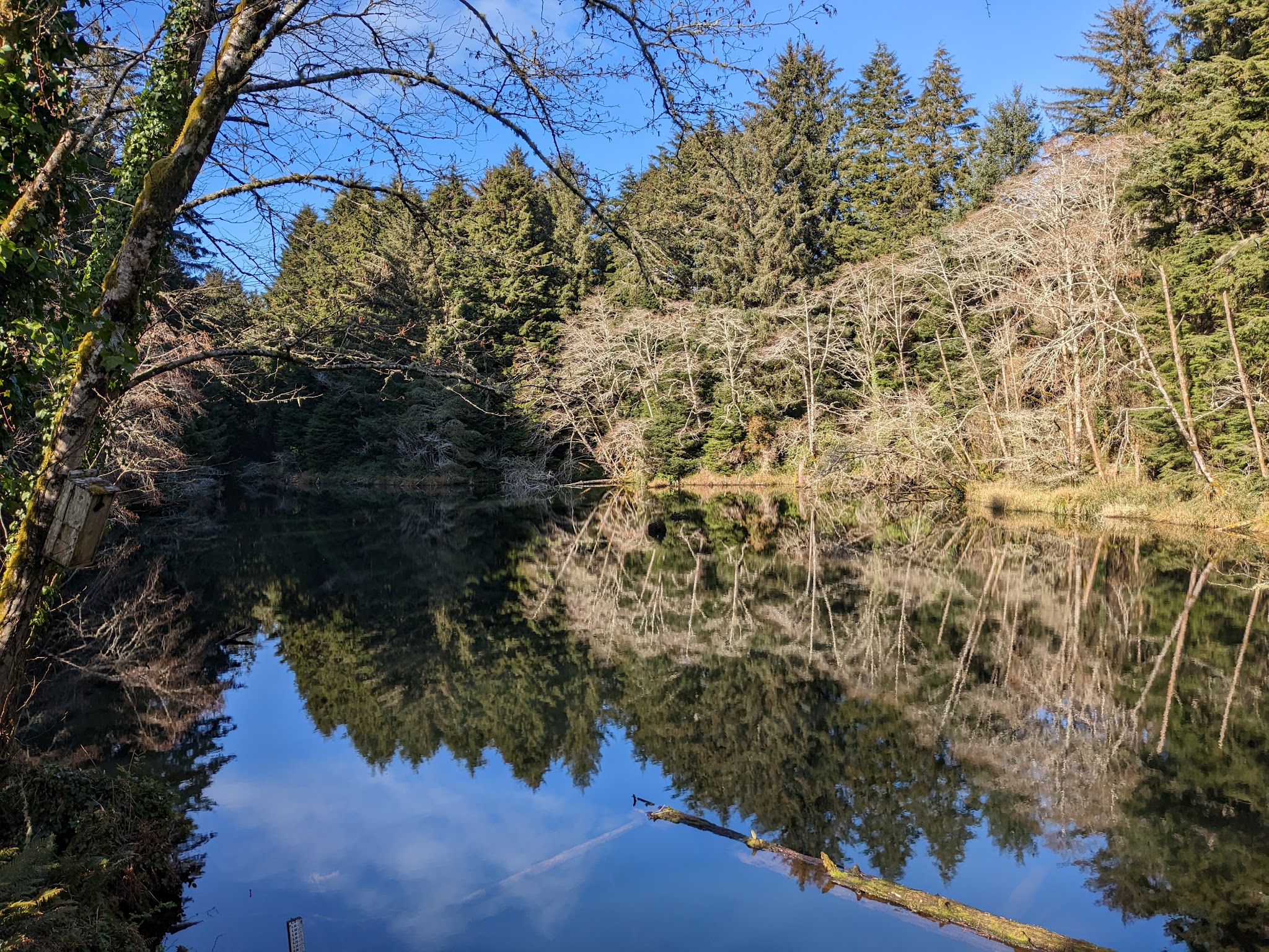 Spring Lake Open Space - Lincoln City, OR