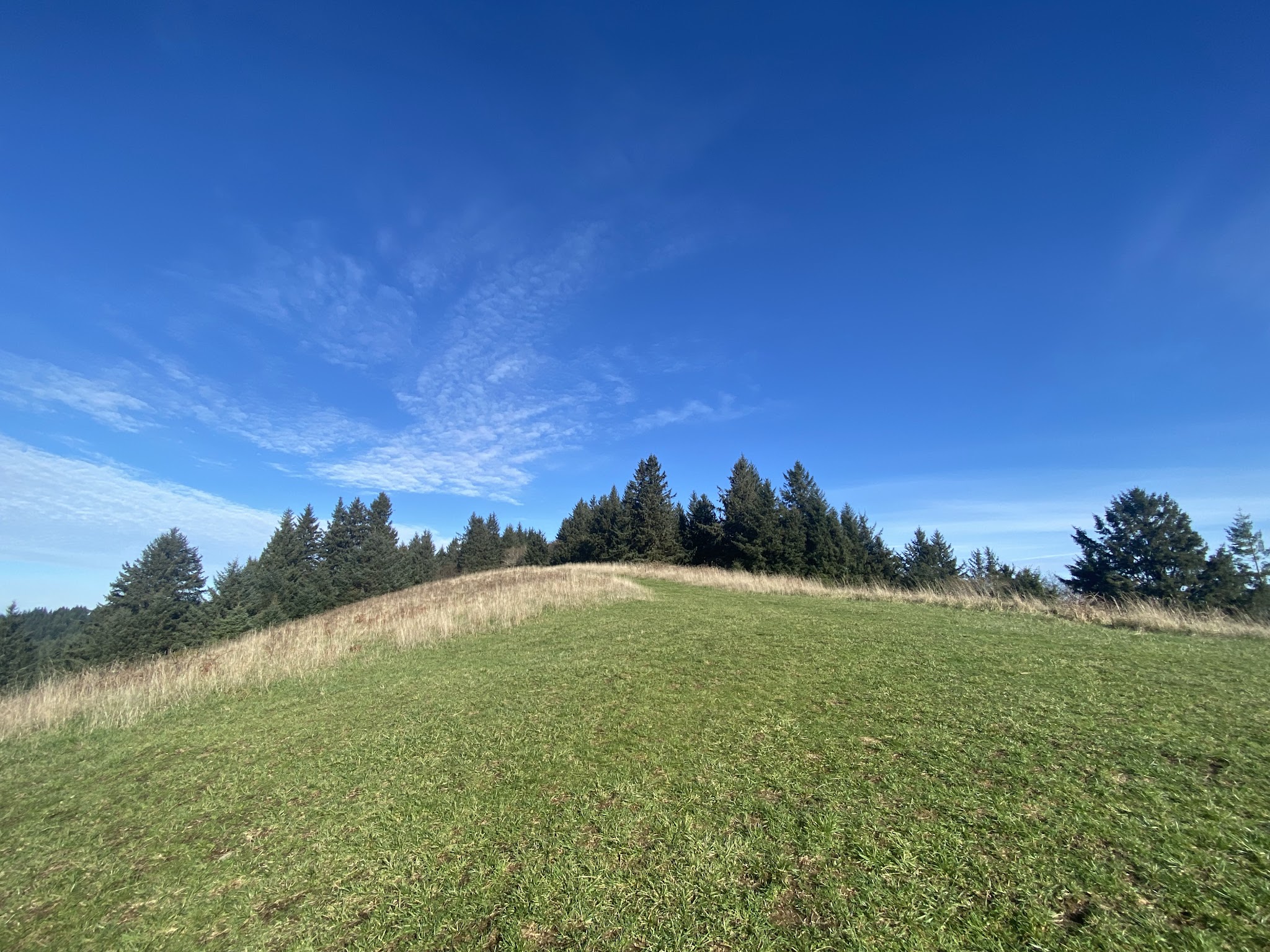 The Knoll - Lincoln City, OR