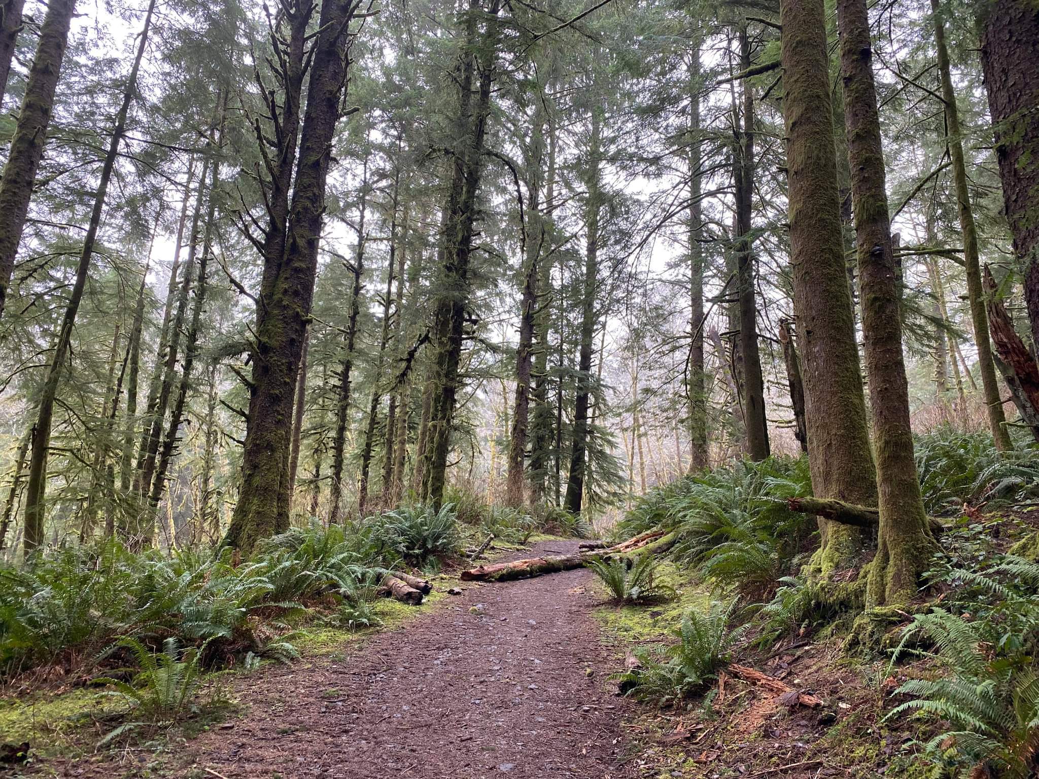 The Knoll - Lincoln City, OR