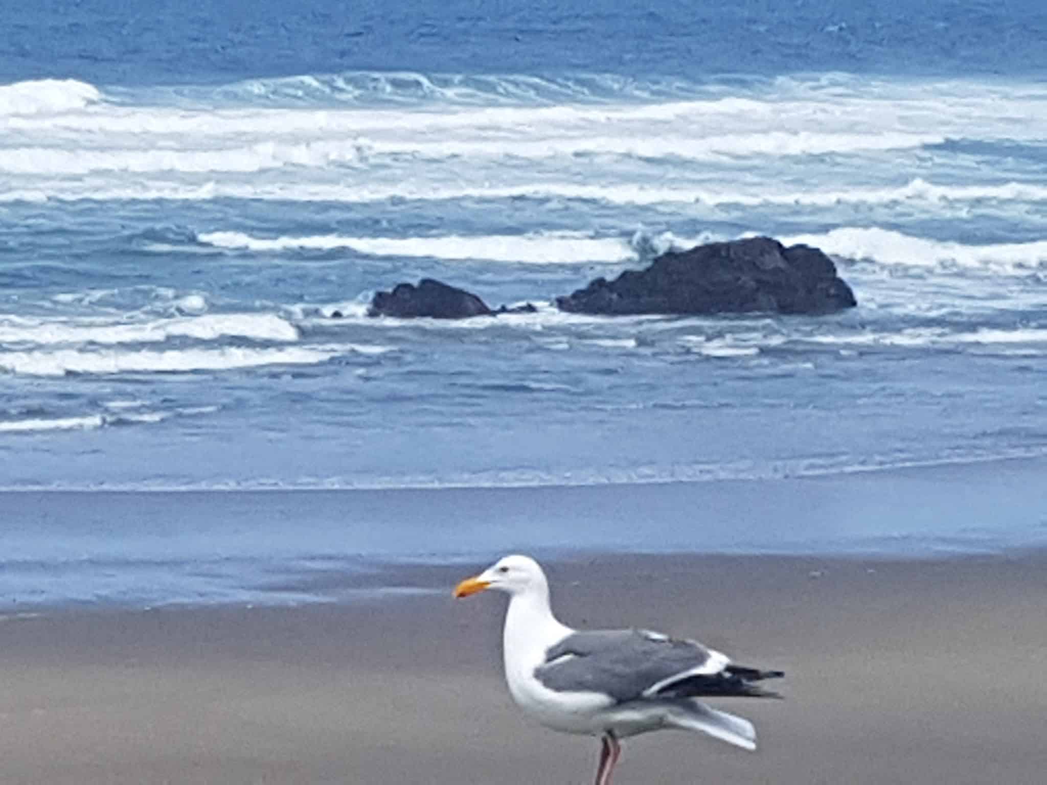 Wecoma City Park - Lincoln City, OR
