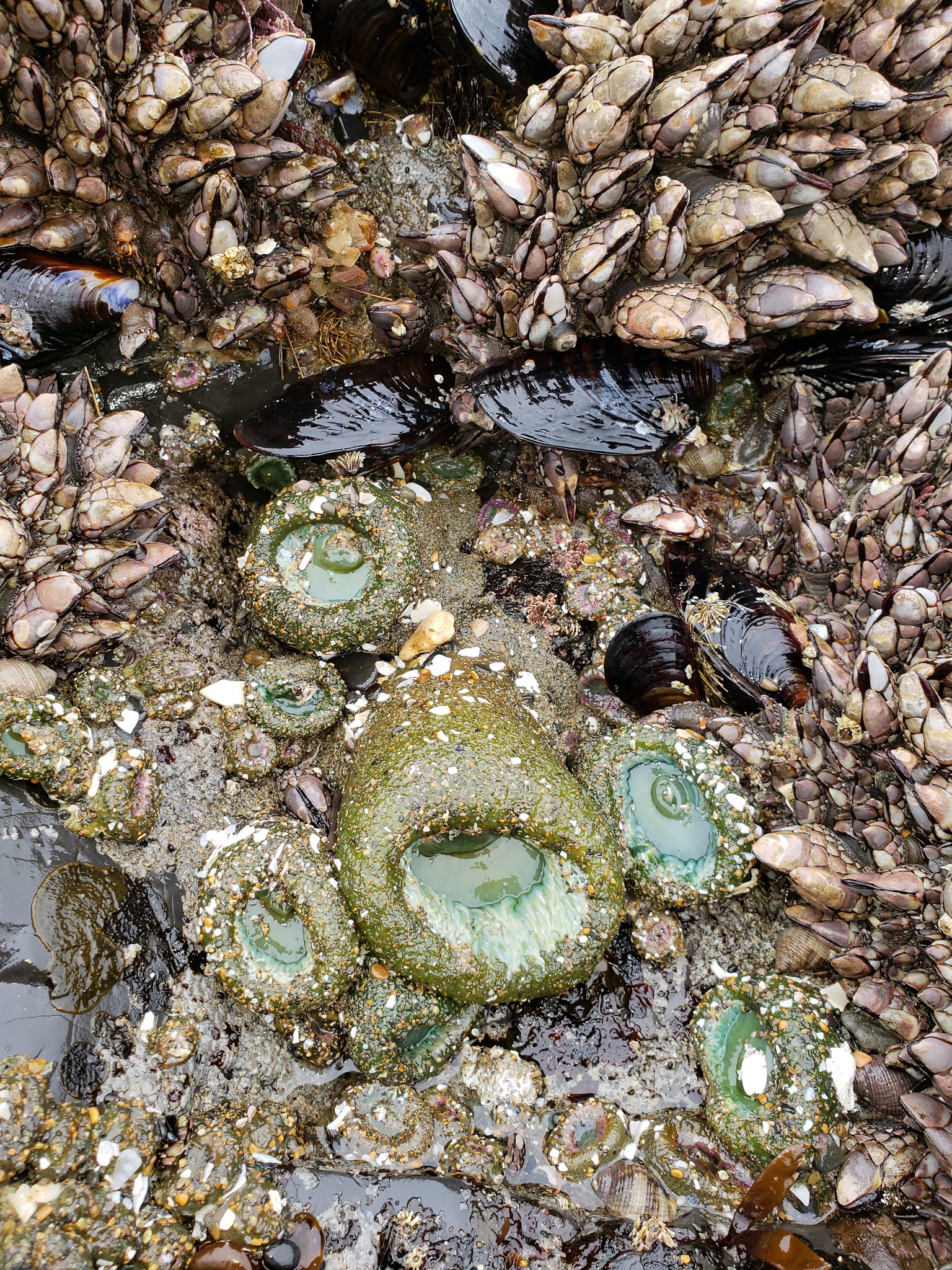 Wecoma City Park - Lincoln City, OR