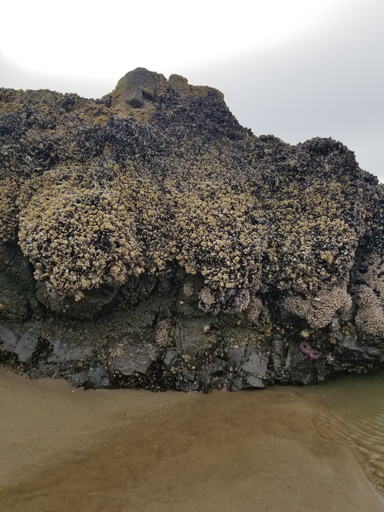 Wecoma City Park - Lincoln City, OR