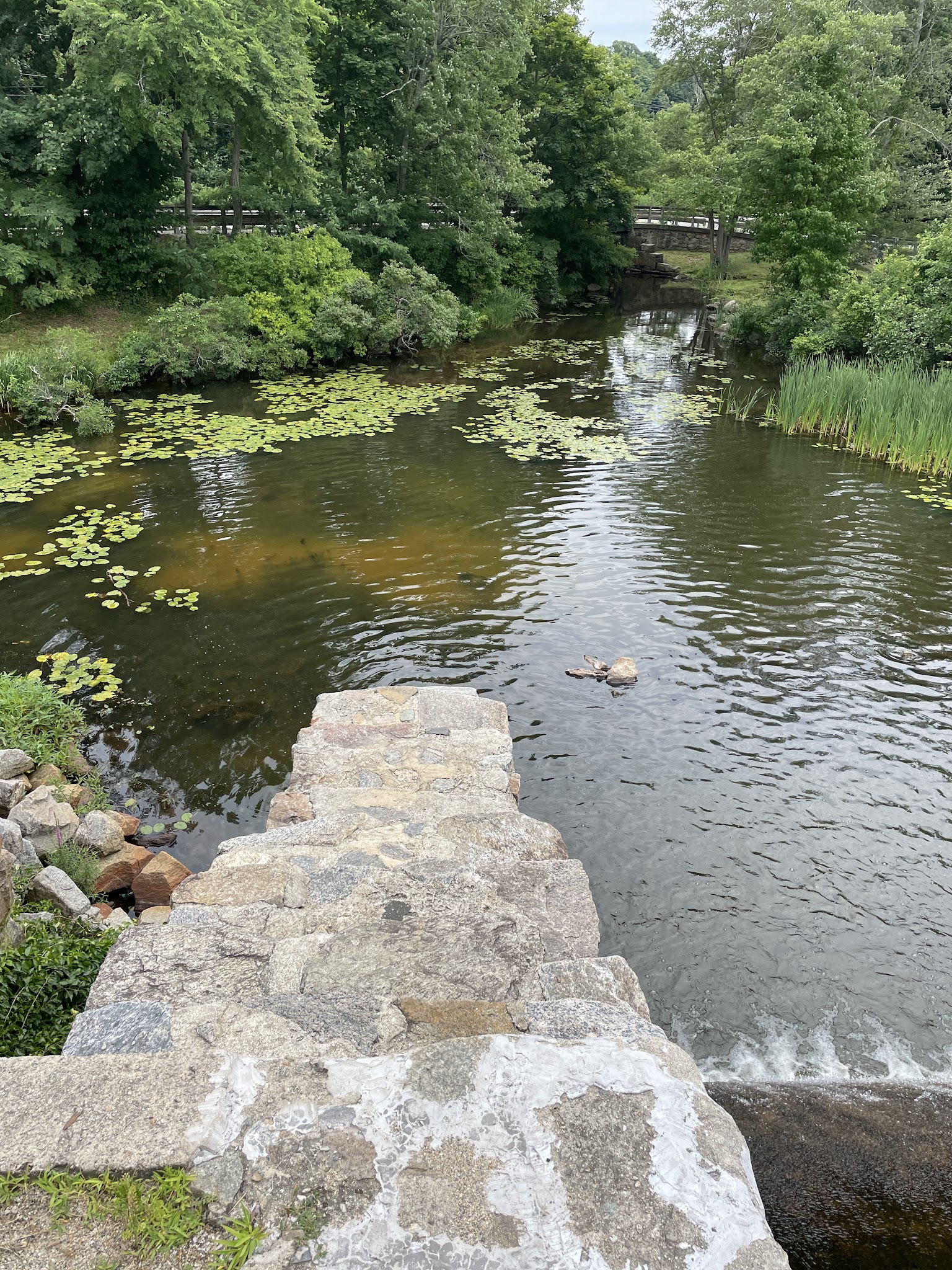 Arnold park - Lincoln, RI