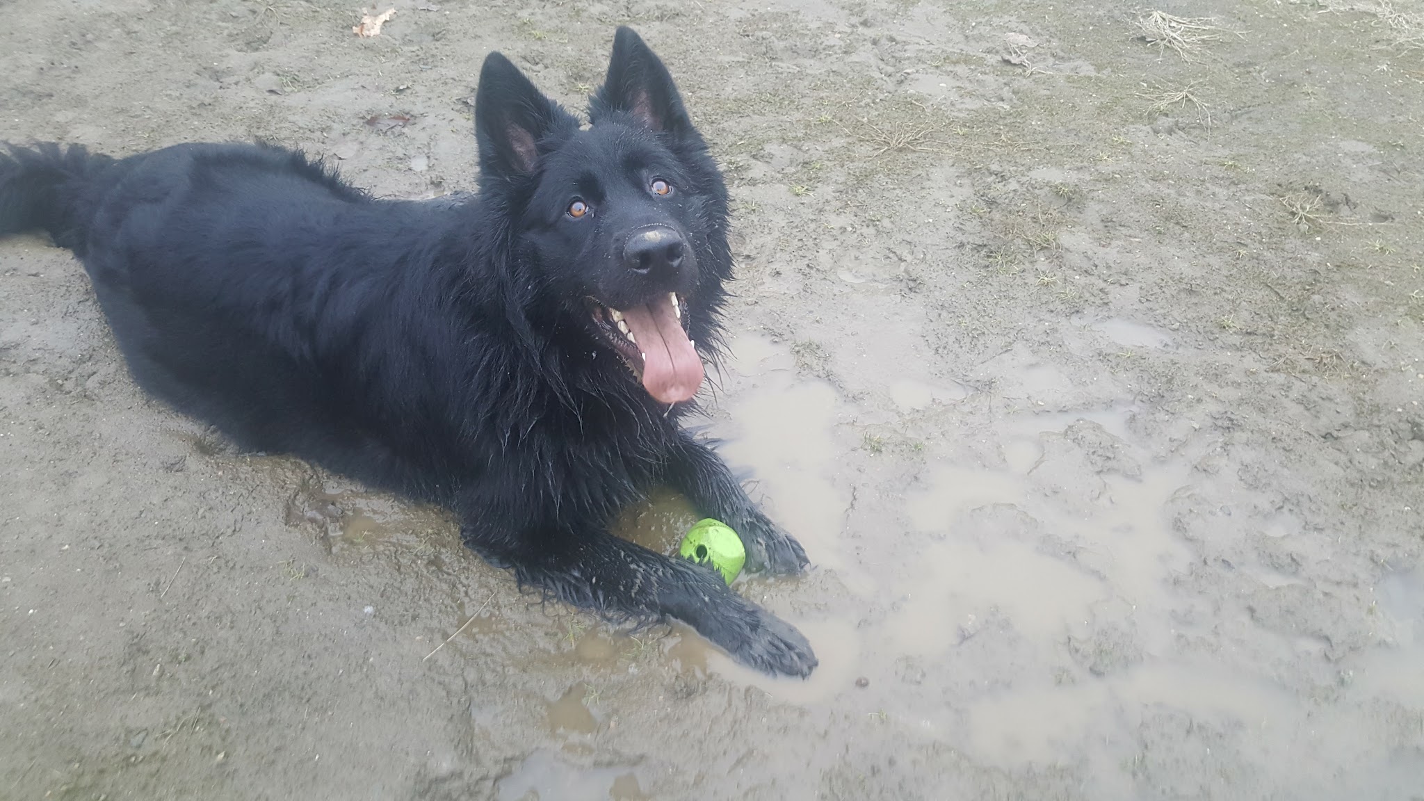 Lime Rock Park - Lincoln, RI