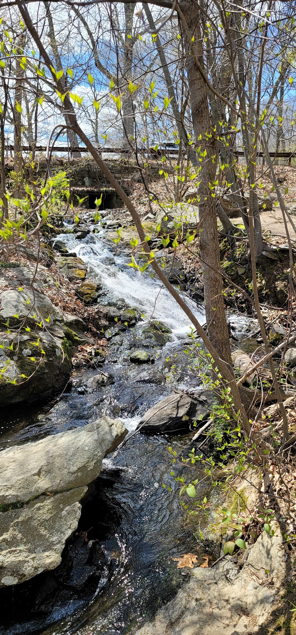 Lincoln Woods State Park - Lincoln, RI