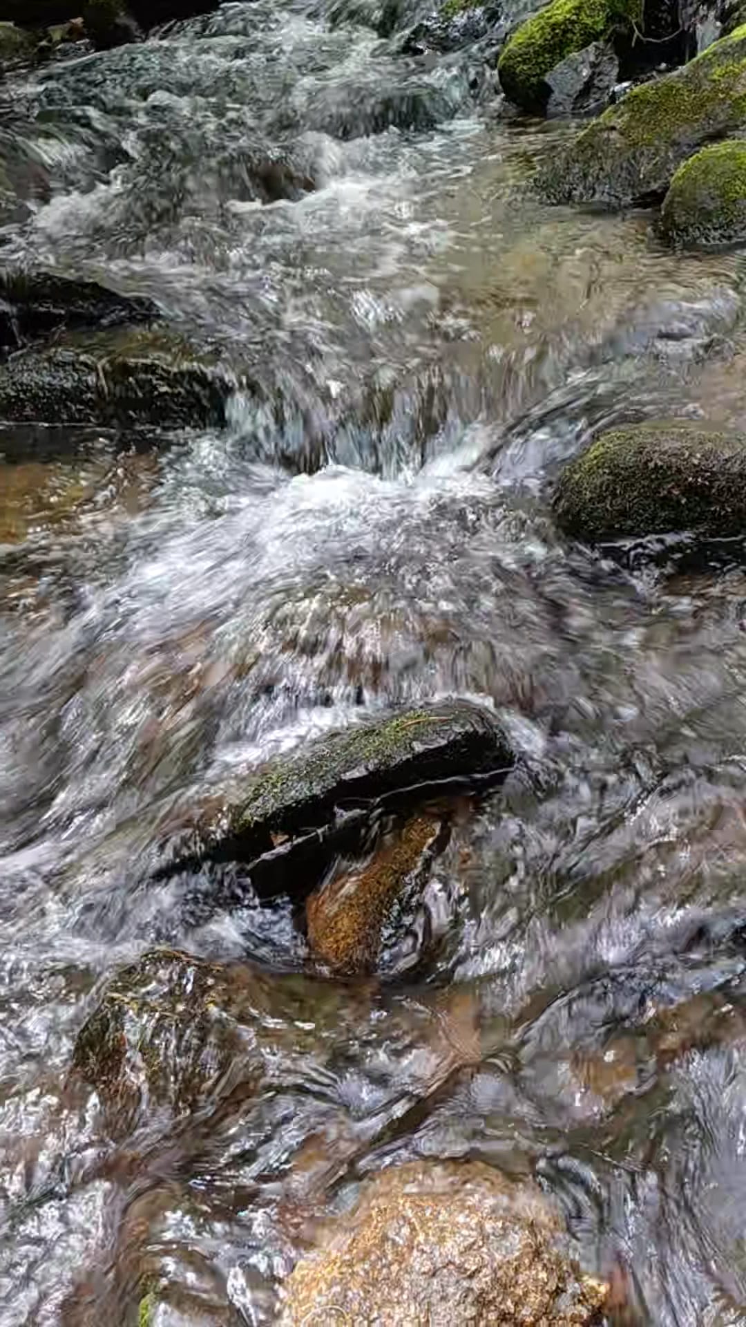 Lincoln Woods State Park - Lincoln, RI