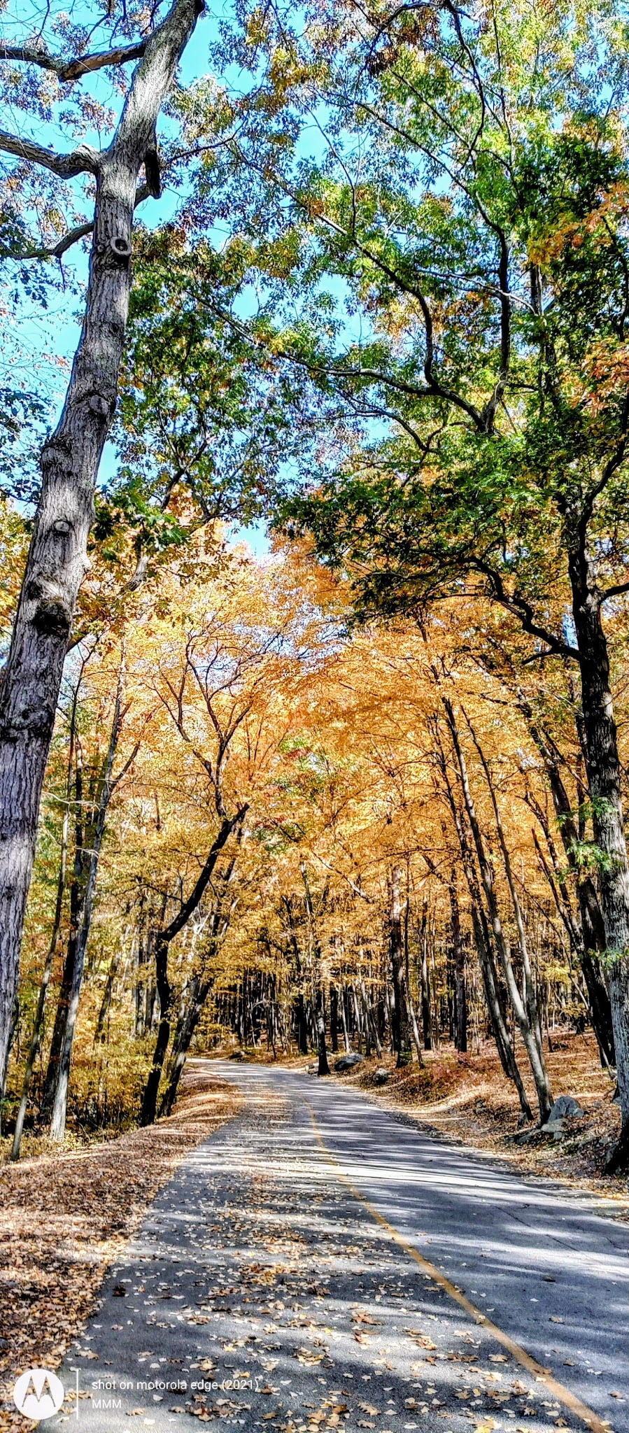 Lincoln Woods State Park - Lincoln, RI