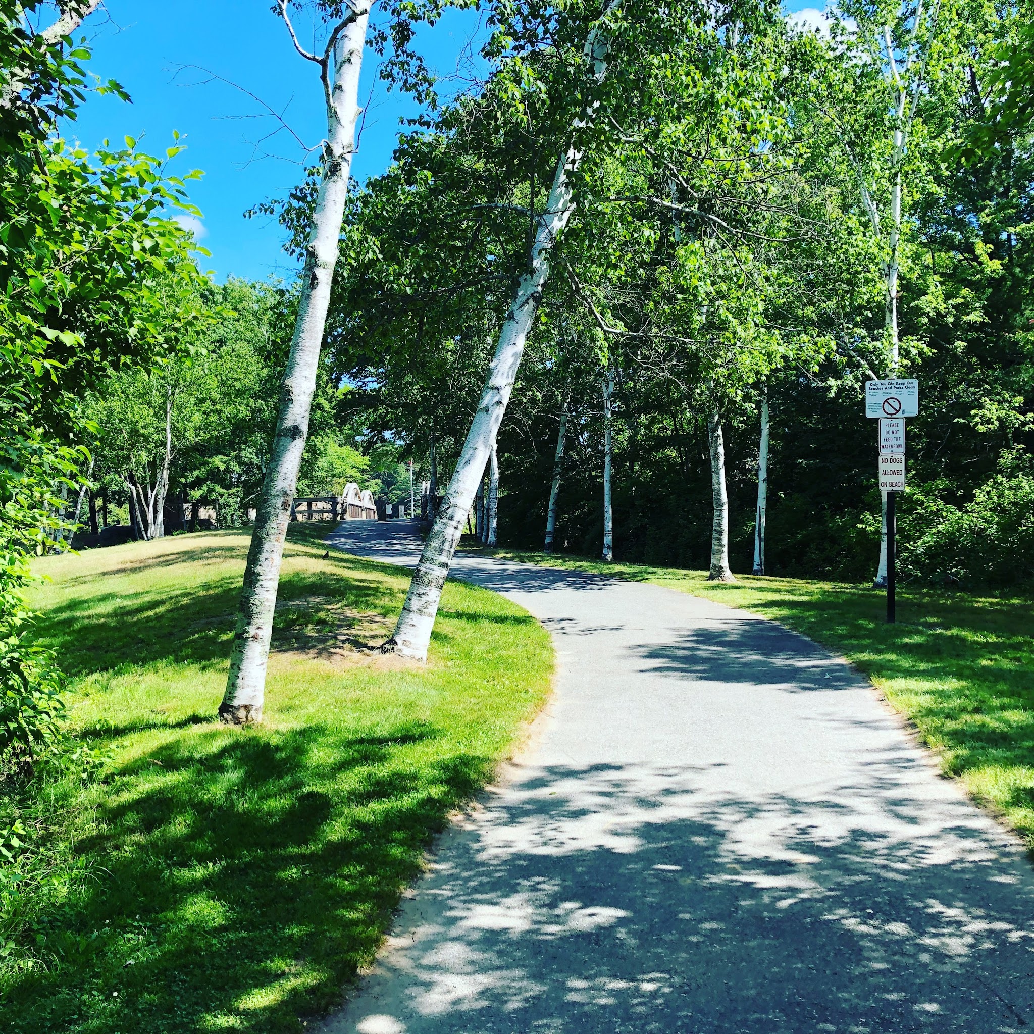Lincoln Woods State Park Beach - Lincoln, RI