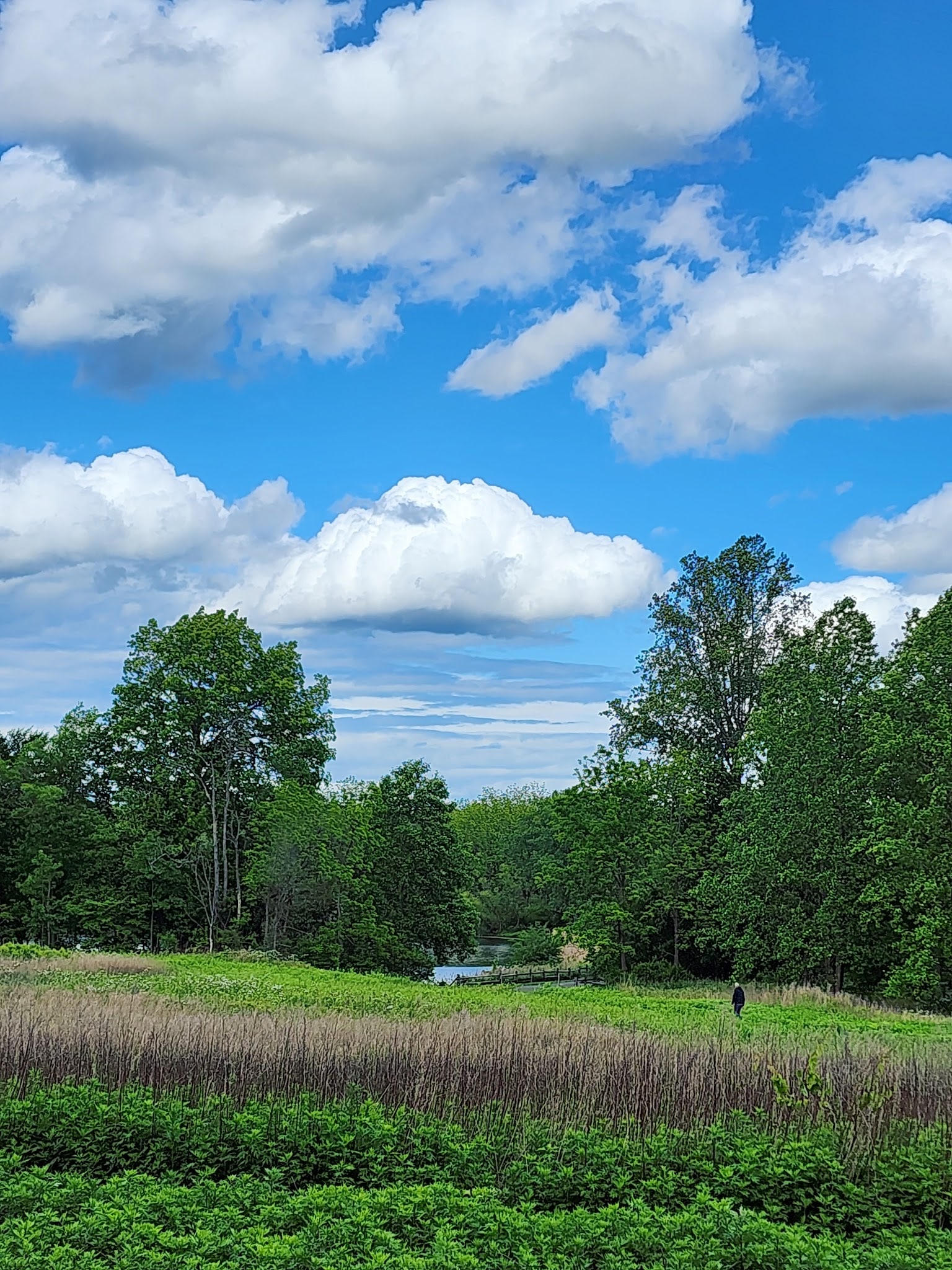 Thompson Park - Lincroft, NJ