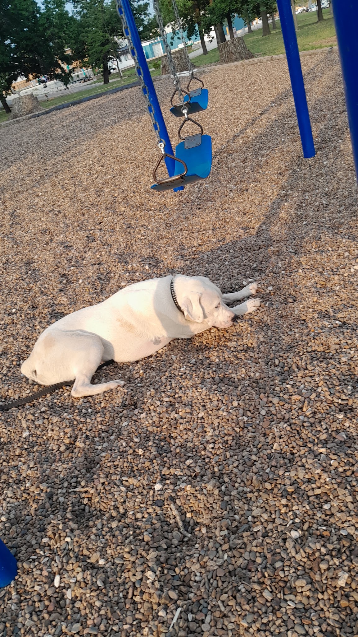 Linn City Park - Linn, MO