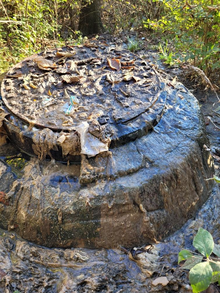 Maguire Park - Linn, MO