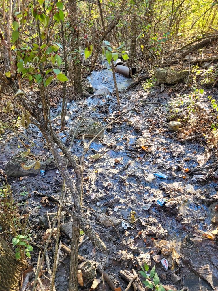 Maguire Park - Linn, MO