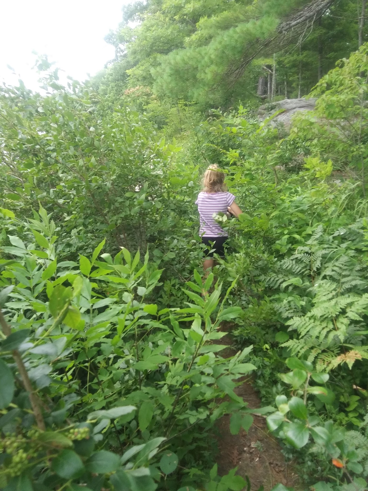 Walking Trail - Lisbon Falls, ME