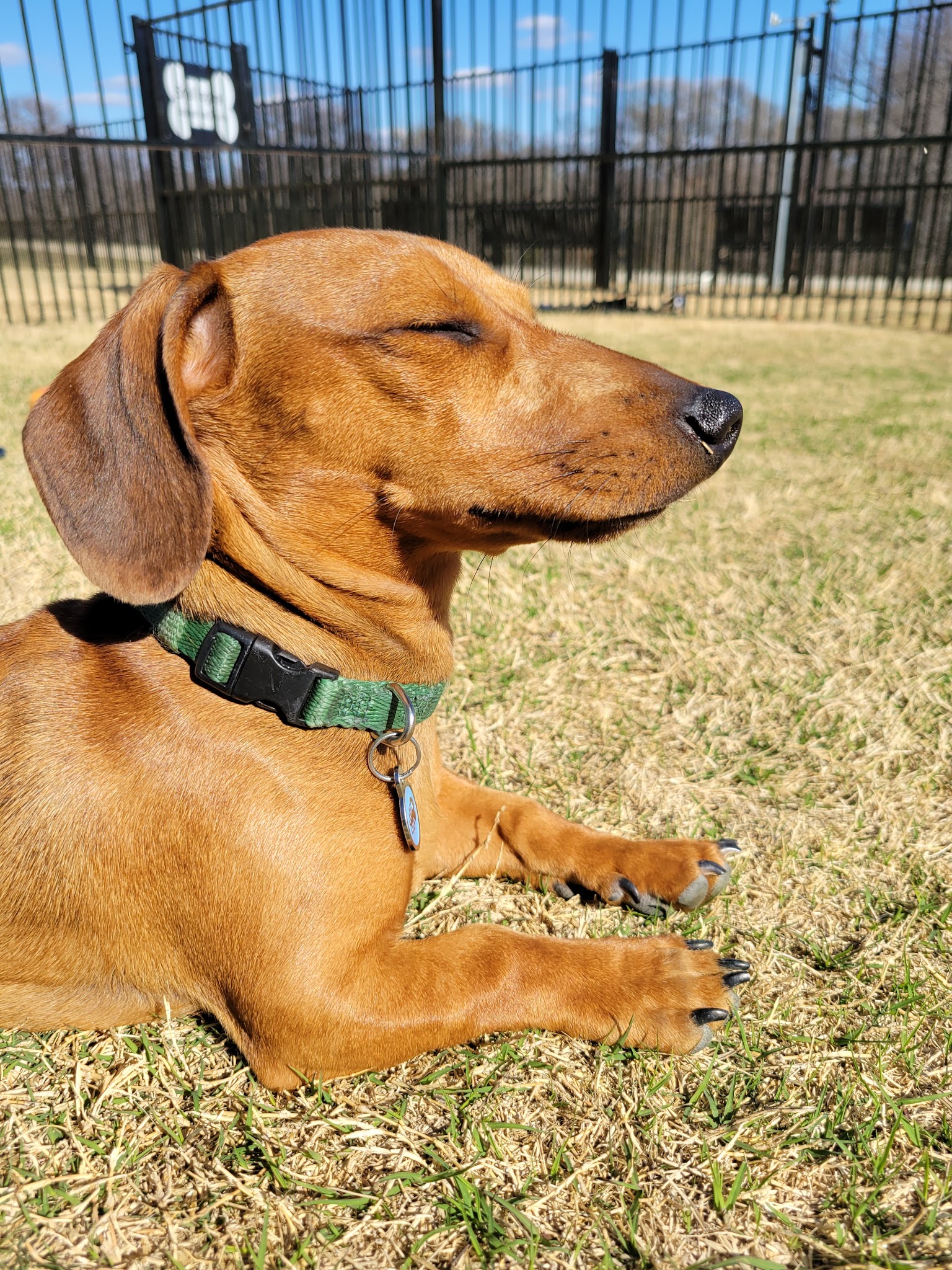 Frisco Hills Dog Park - Little Elm, TX