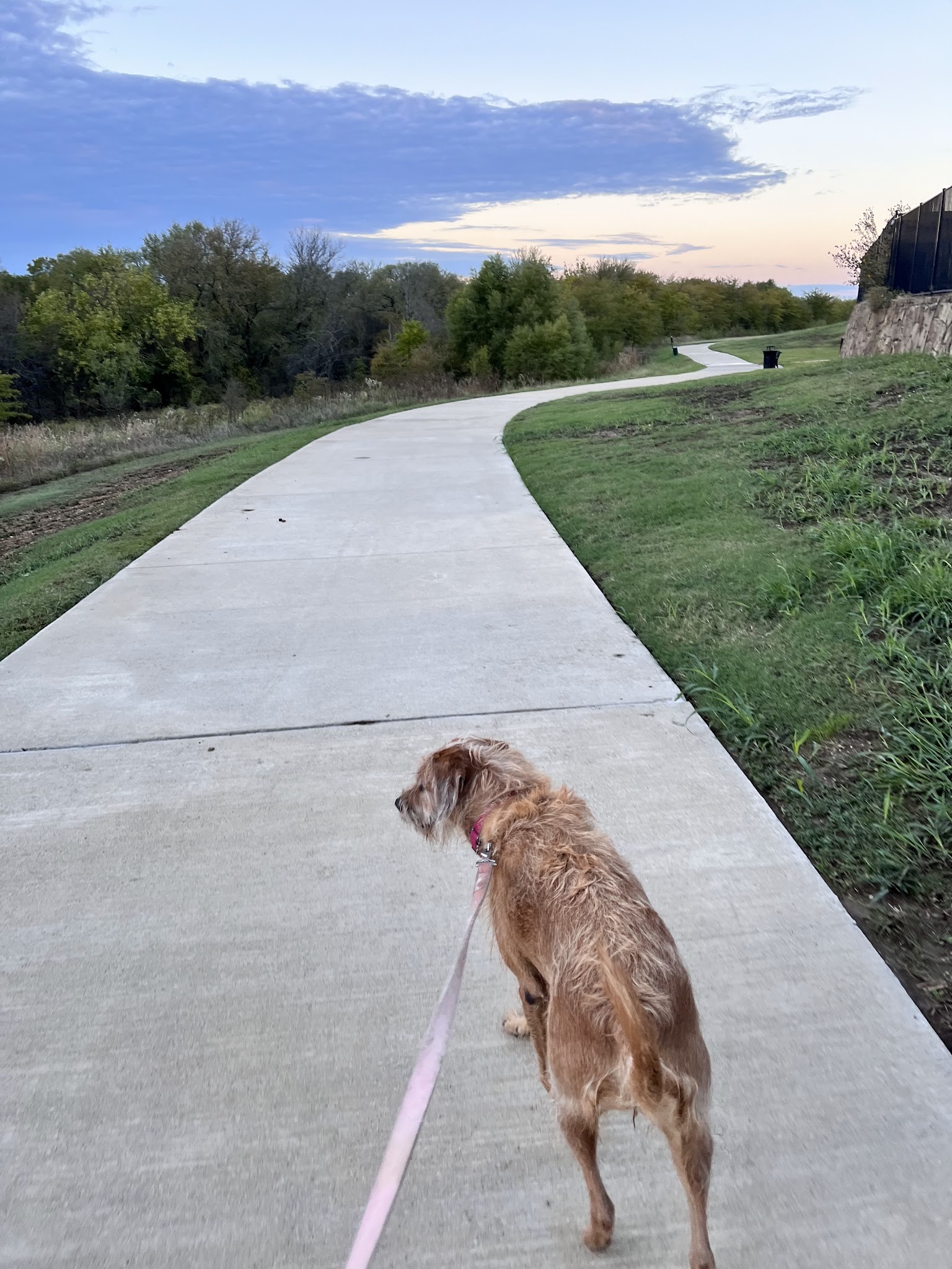 Frisco Hills Dog Park - Little Elm, TX