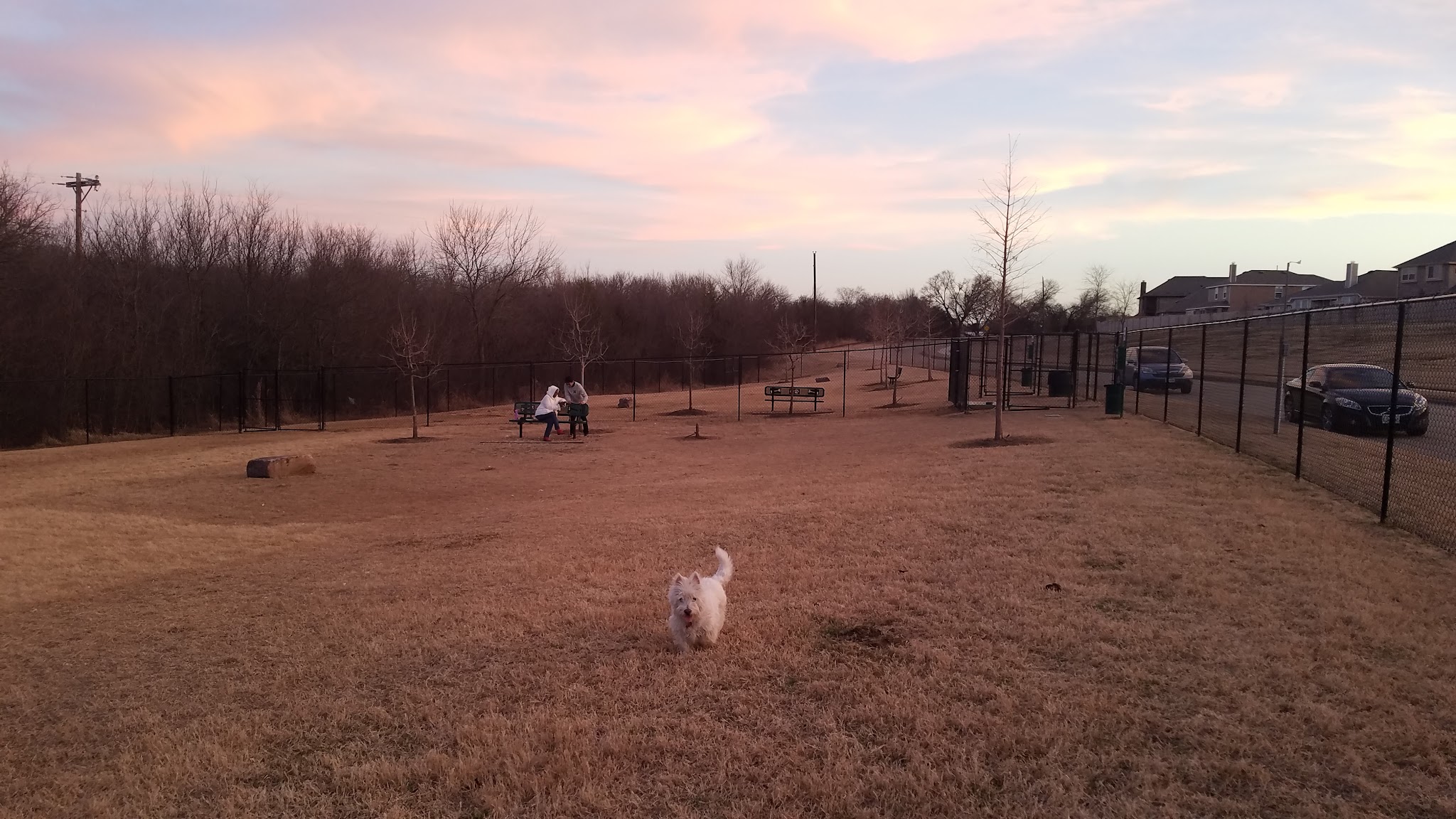 Paloma Creek Dog Park - Little Elm, TX