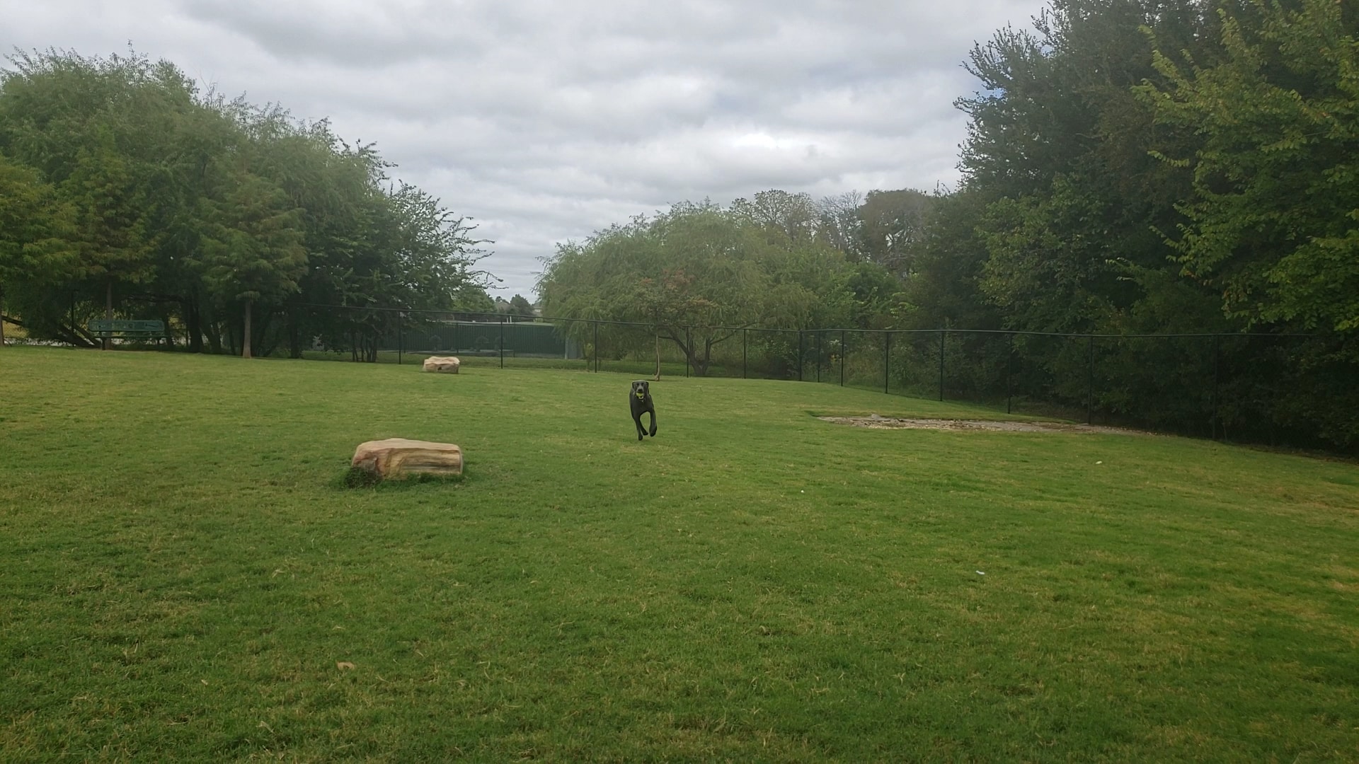 Paloma Creek Dog Park - Little Elm, TX