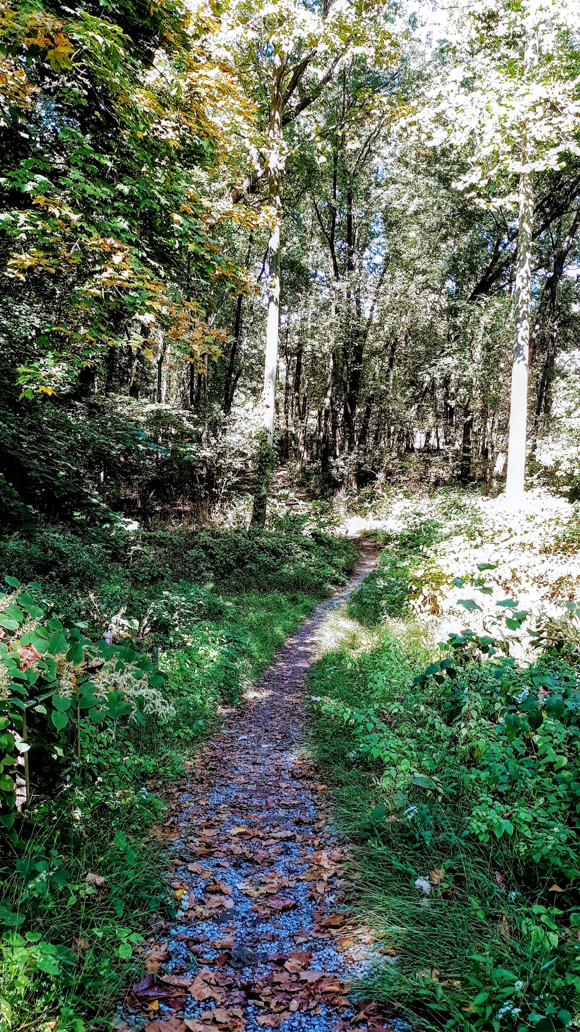 Morris Canal Park - Little Falls Township, NJ