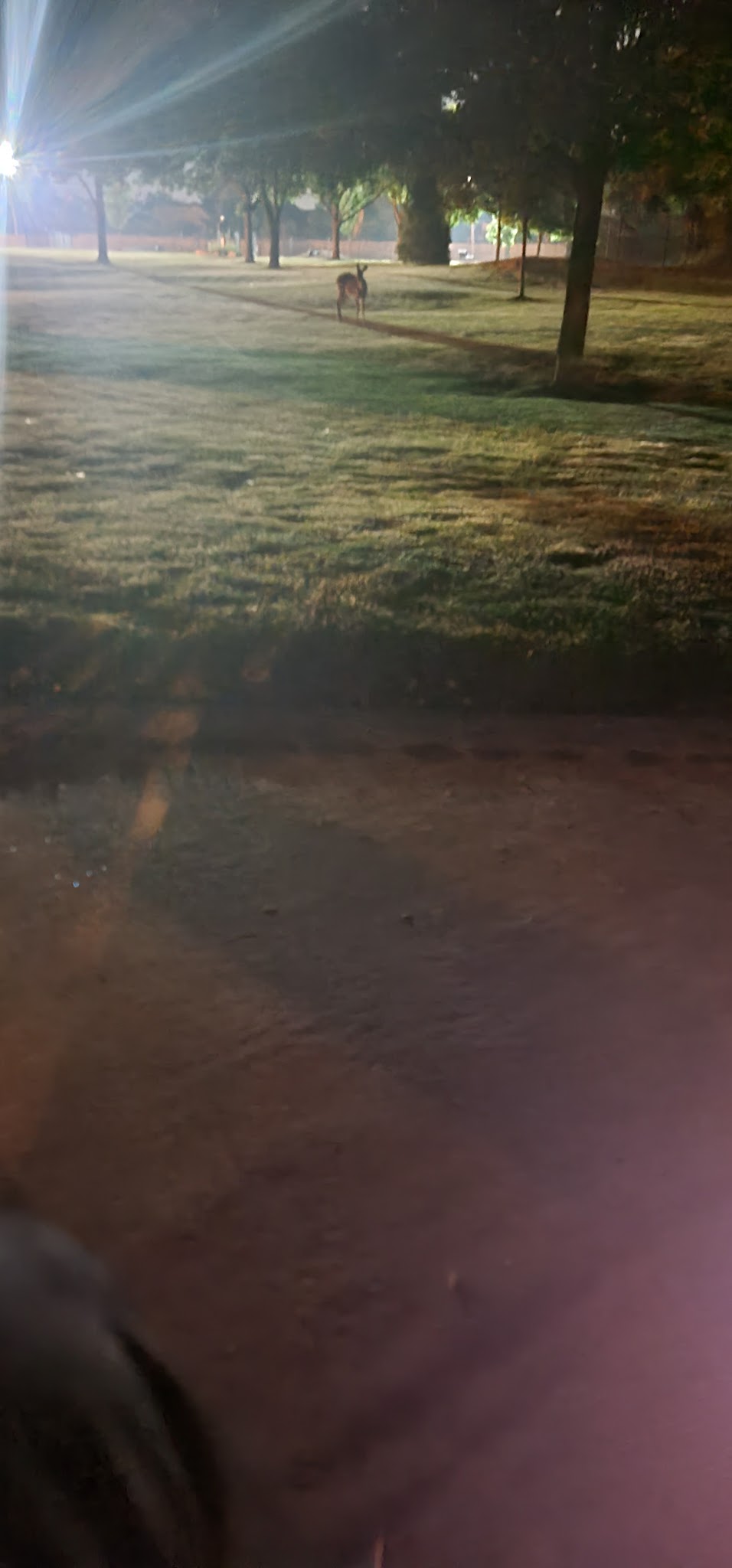 Little Ferry, Playground - Little Ferry, NJ