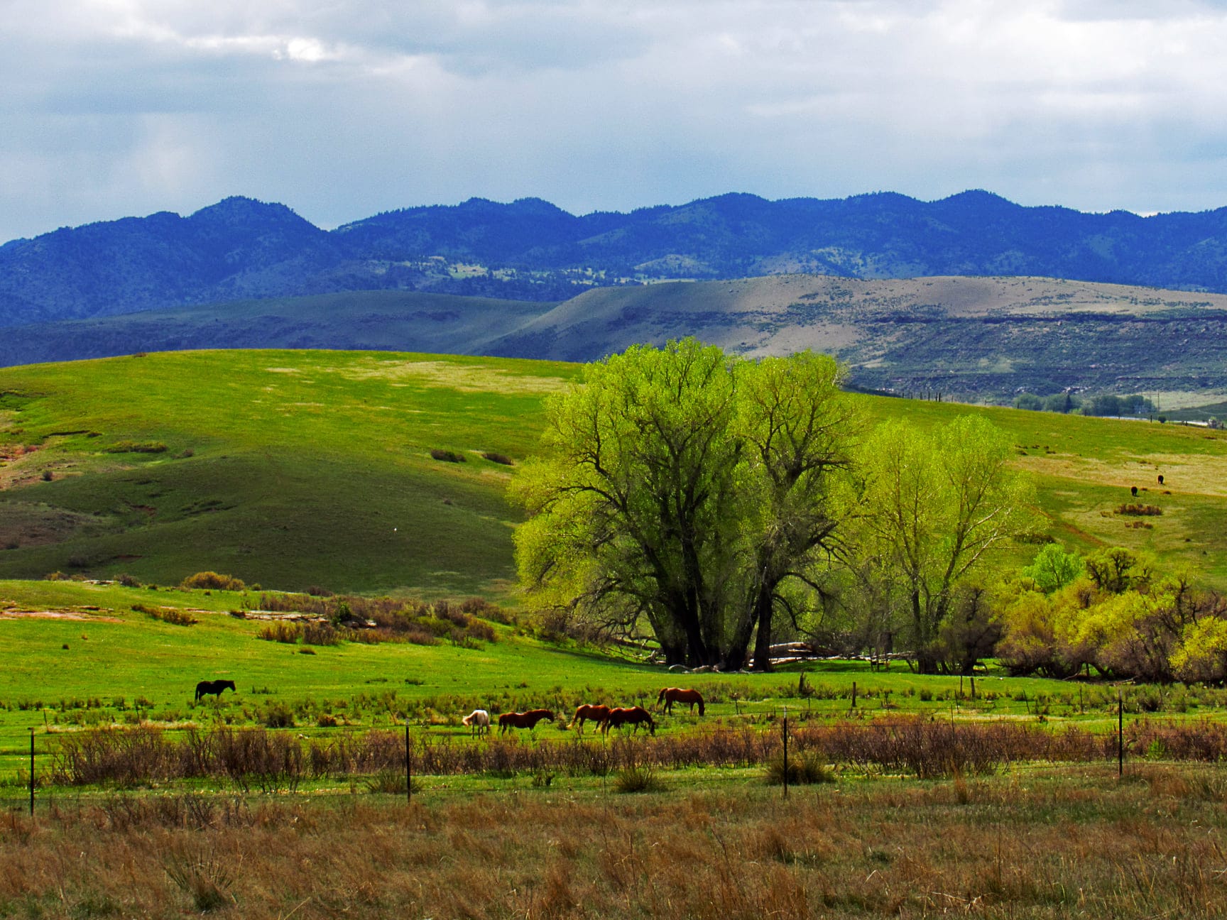 Eagle's Nest Open Space - Livermore, CO