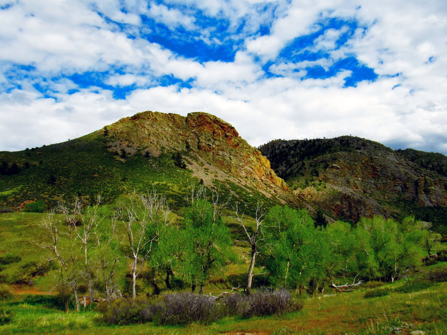 Eagle's Nest Open Space - Livermore, CO