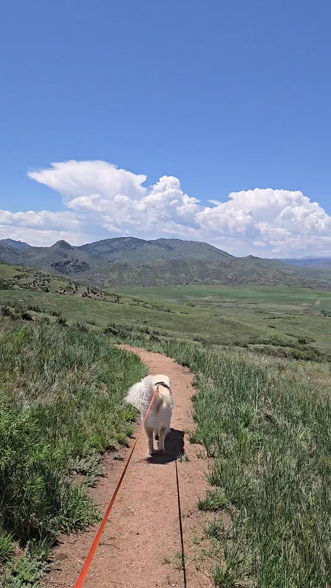 Eagle's Nest Open Space - Livermore, CO