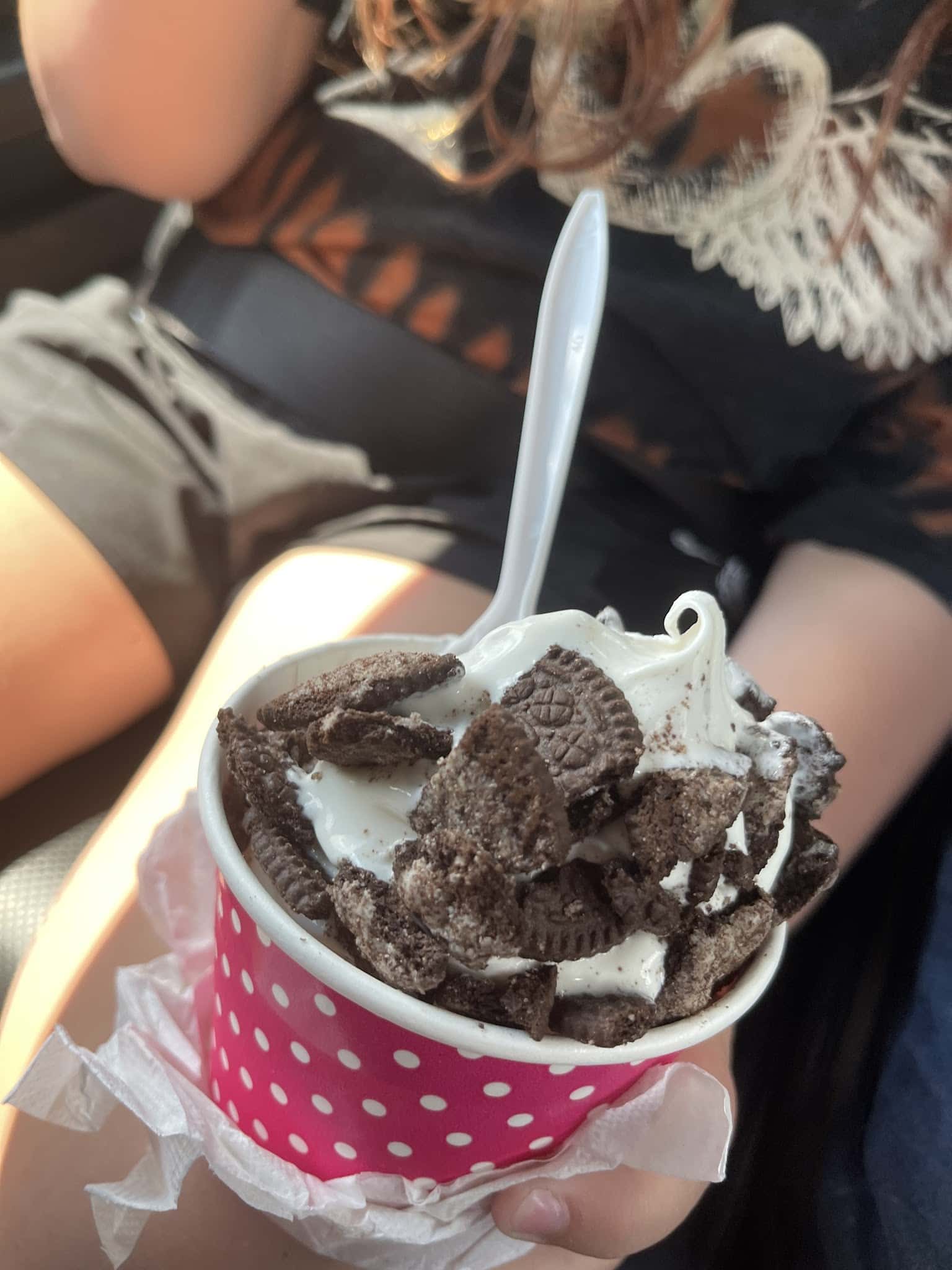 Softie Delite - Livermore Falls, ME