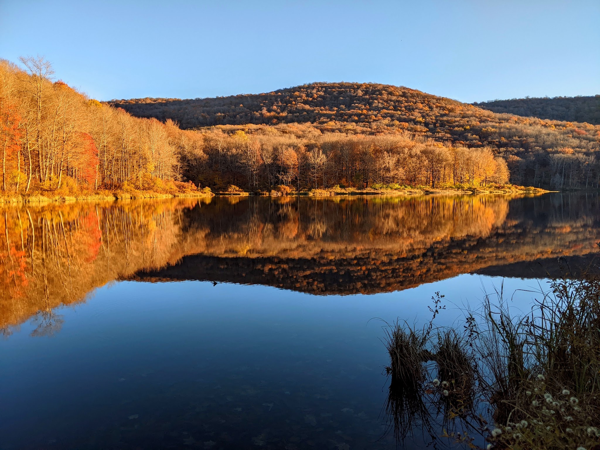 Alder Lake Trailhead Parking - Livingston Manor, NY
