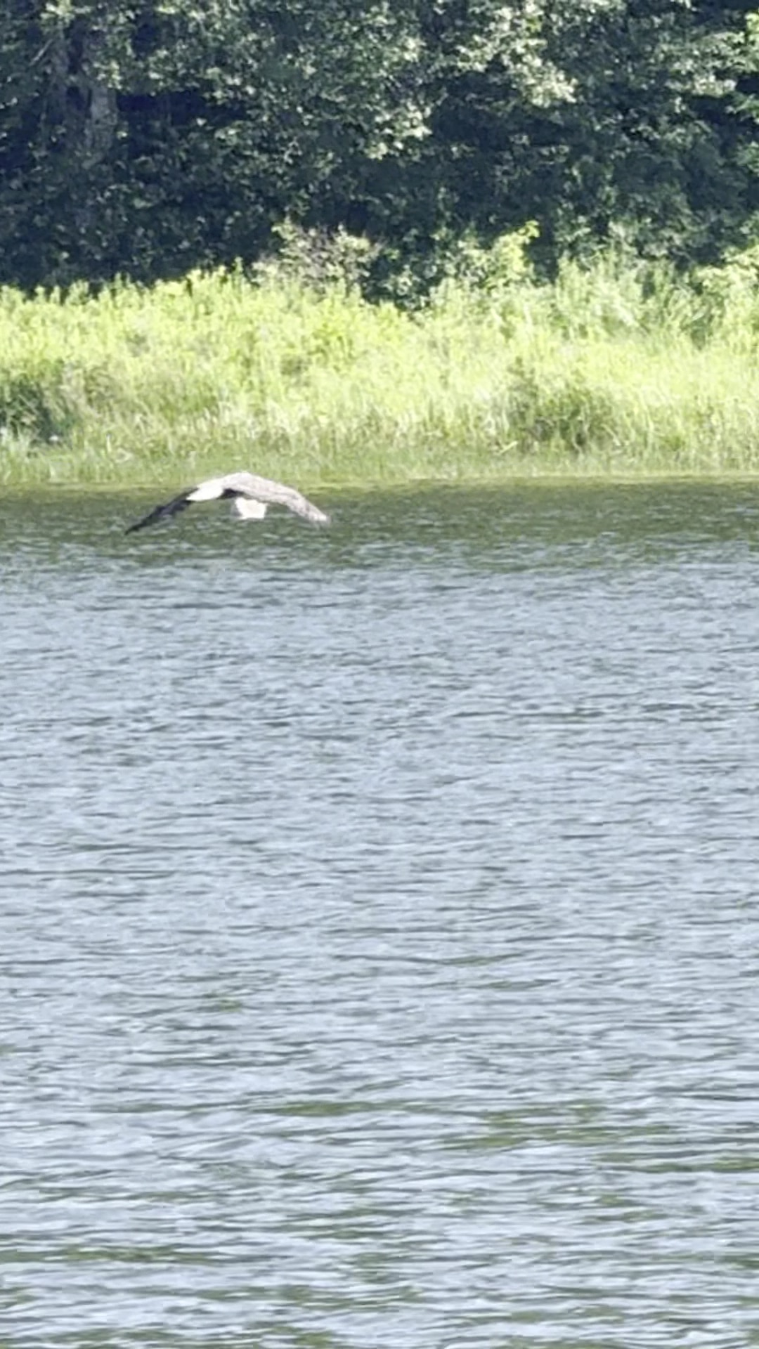 Alder Lake Trailhead Parking - Livingston Manor, NY